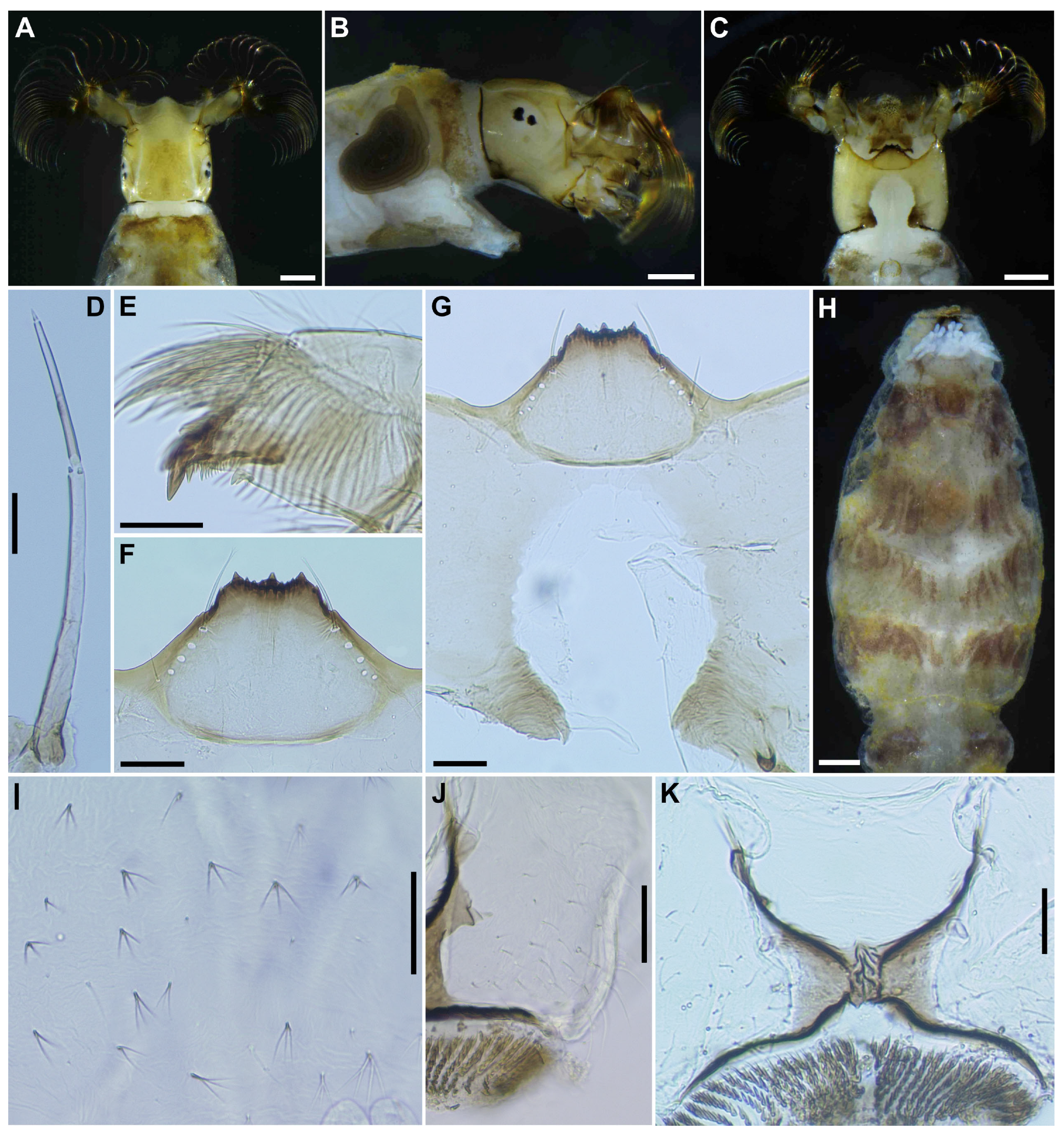 Insects 16 01034 g008