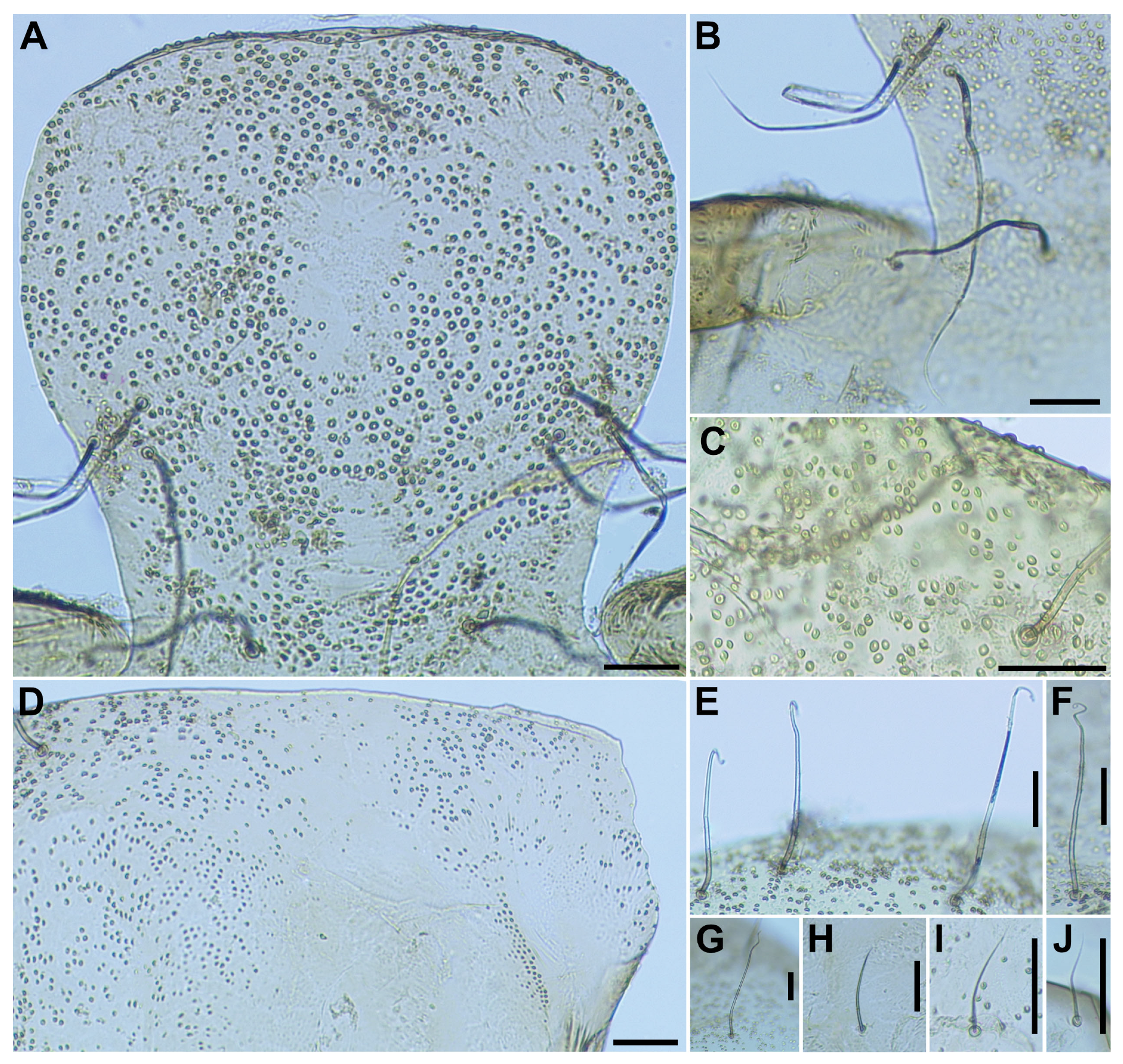 Insects 16 01034 g013