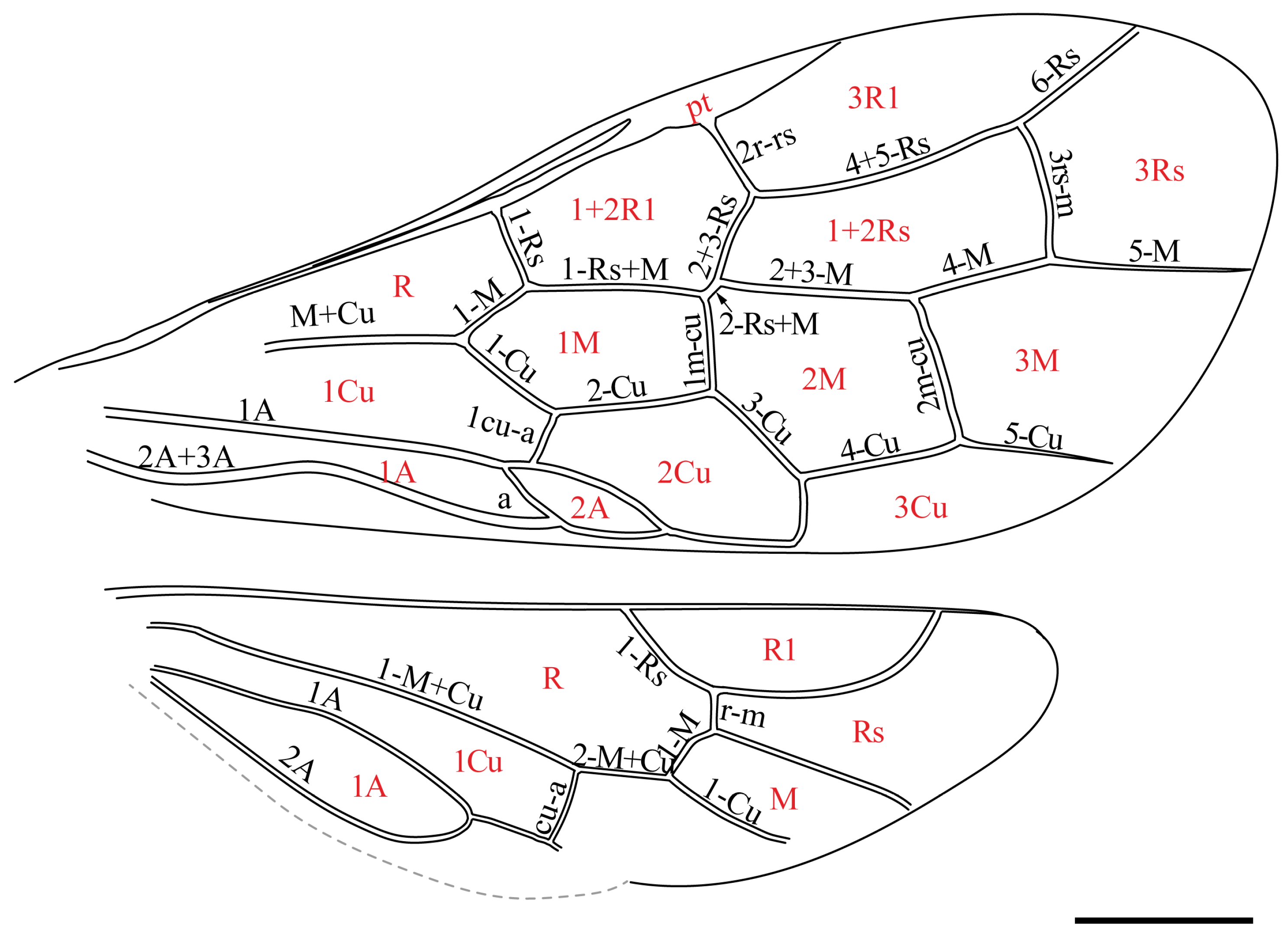 Insects 16 01039 g002 Insects 16 01039 g002