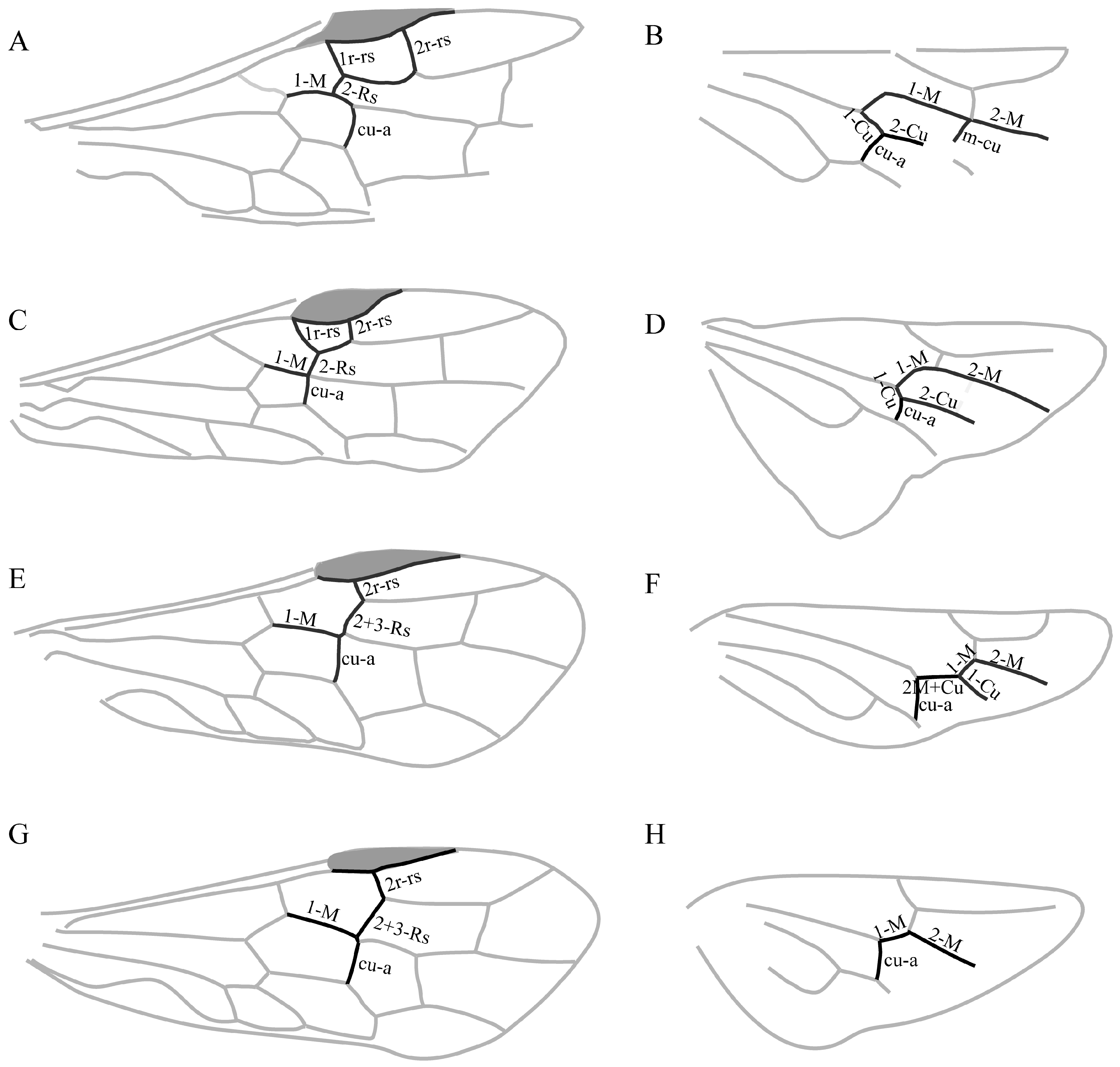 Insects 16 01039 g004 Insects 16 01039 g004