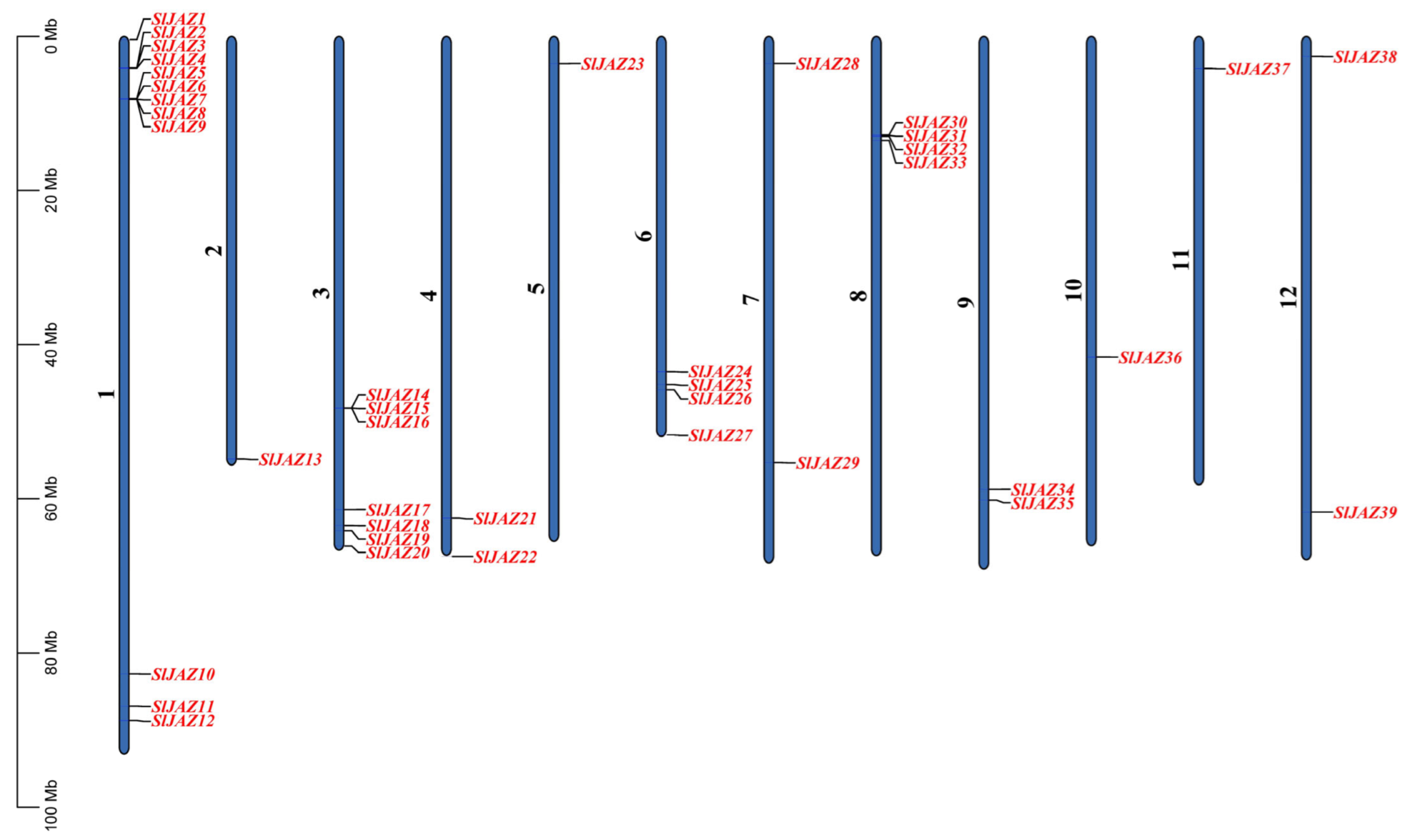 Insects 16 01046 g001