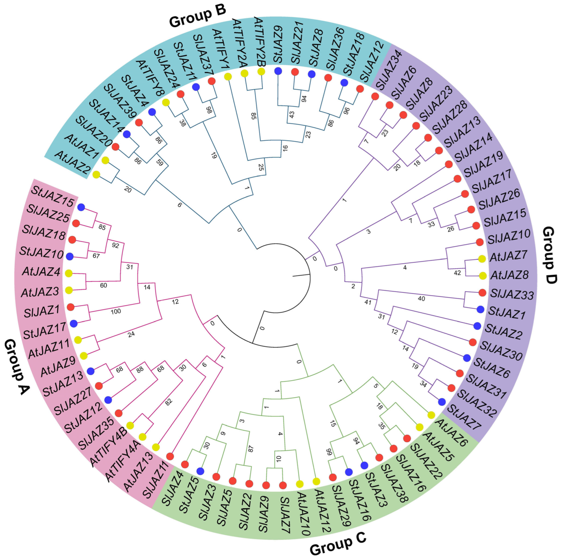 Insects 16 01046 g002