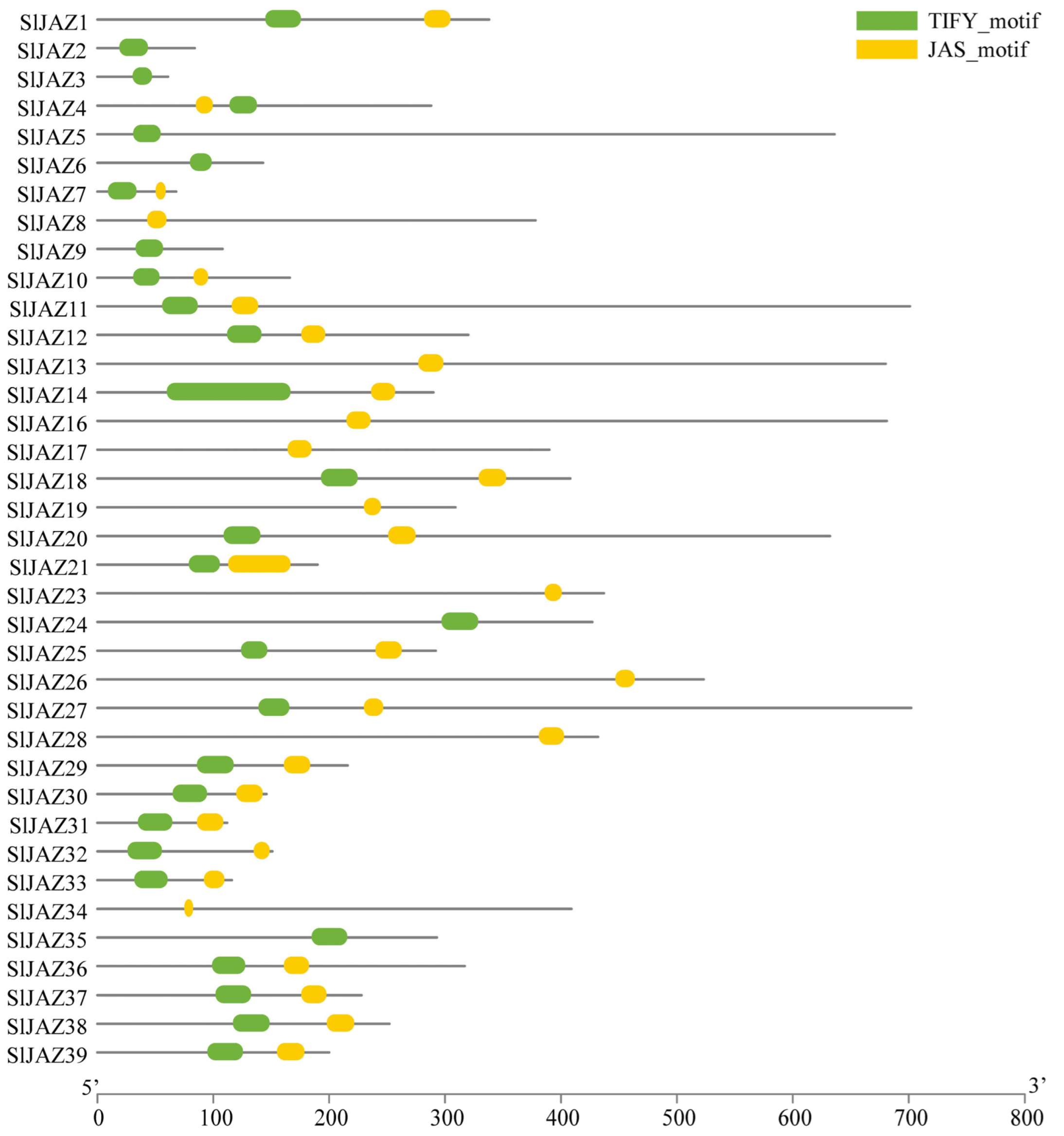 Insects 16 01046 g004