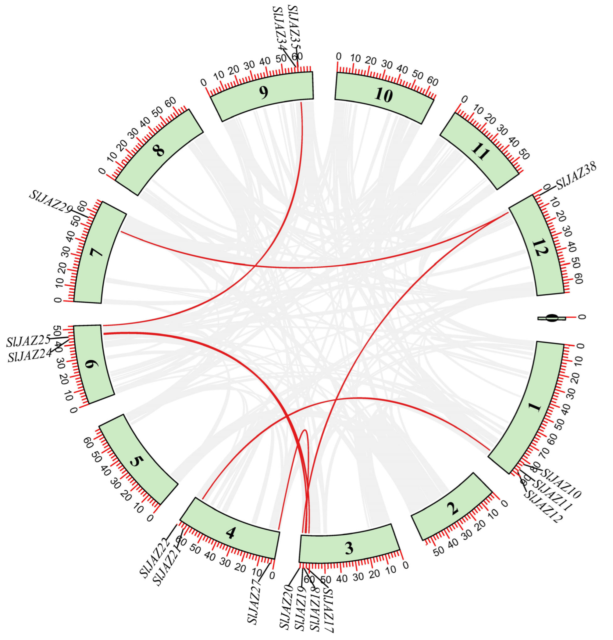 Insects 16 01046 g006