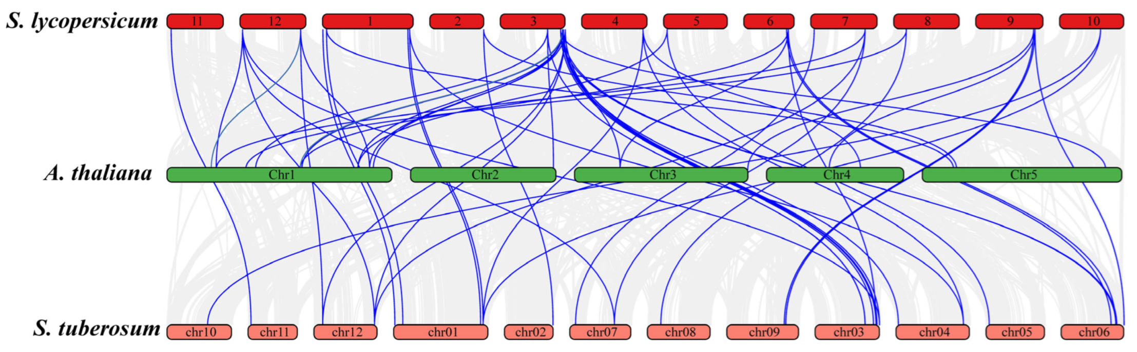 Insects 16 01046 g007
