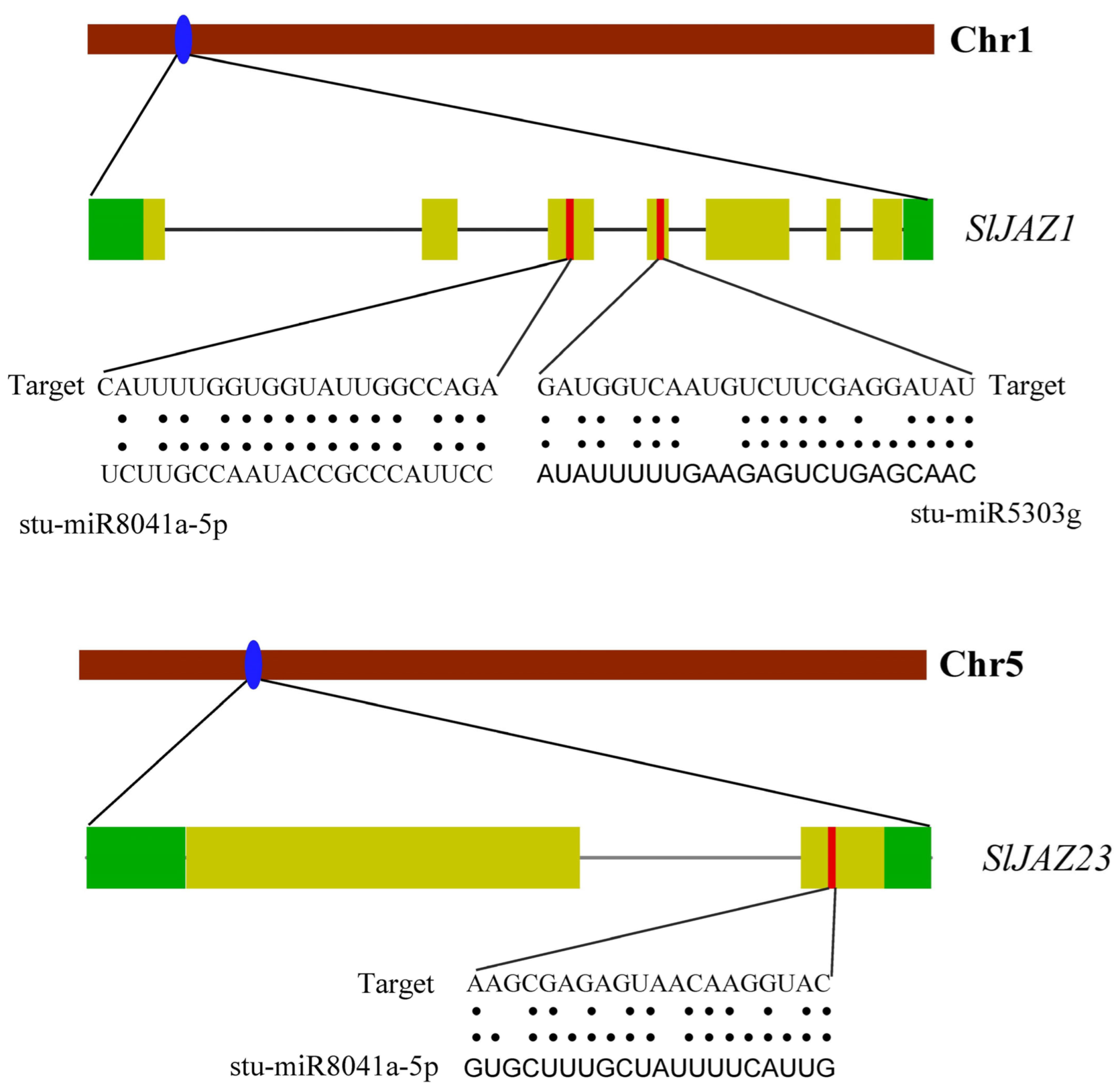 Insects 16 01046 g008
