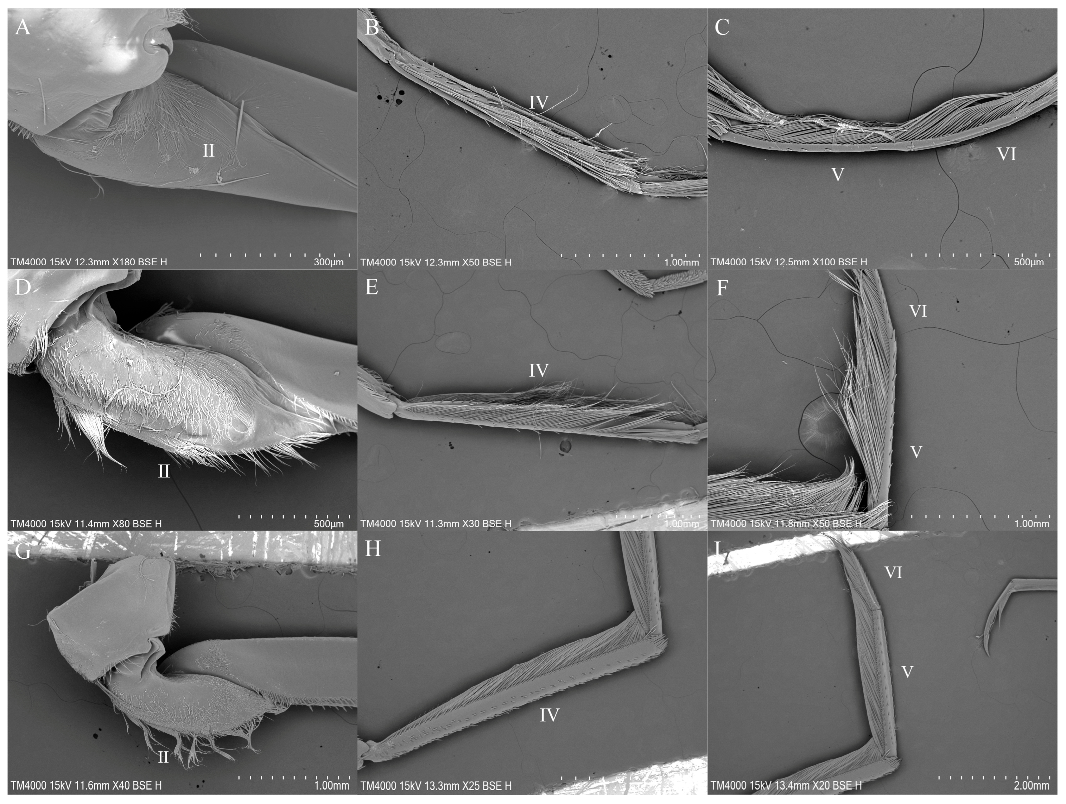 Insects 16 01048 g002 Insects 16 01048 g002