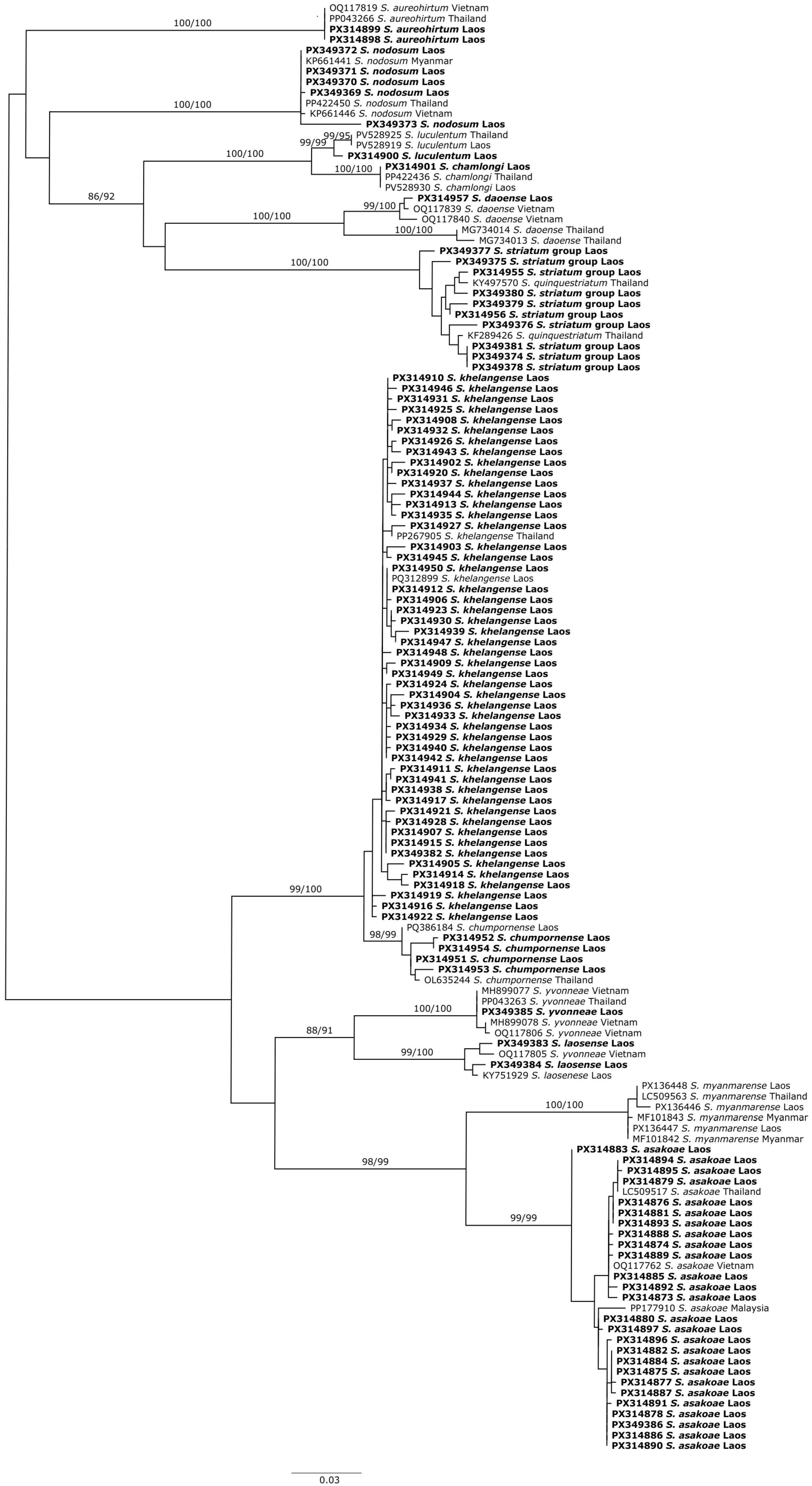 Insects 16 01053 g002 Insects 16 01053 g002