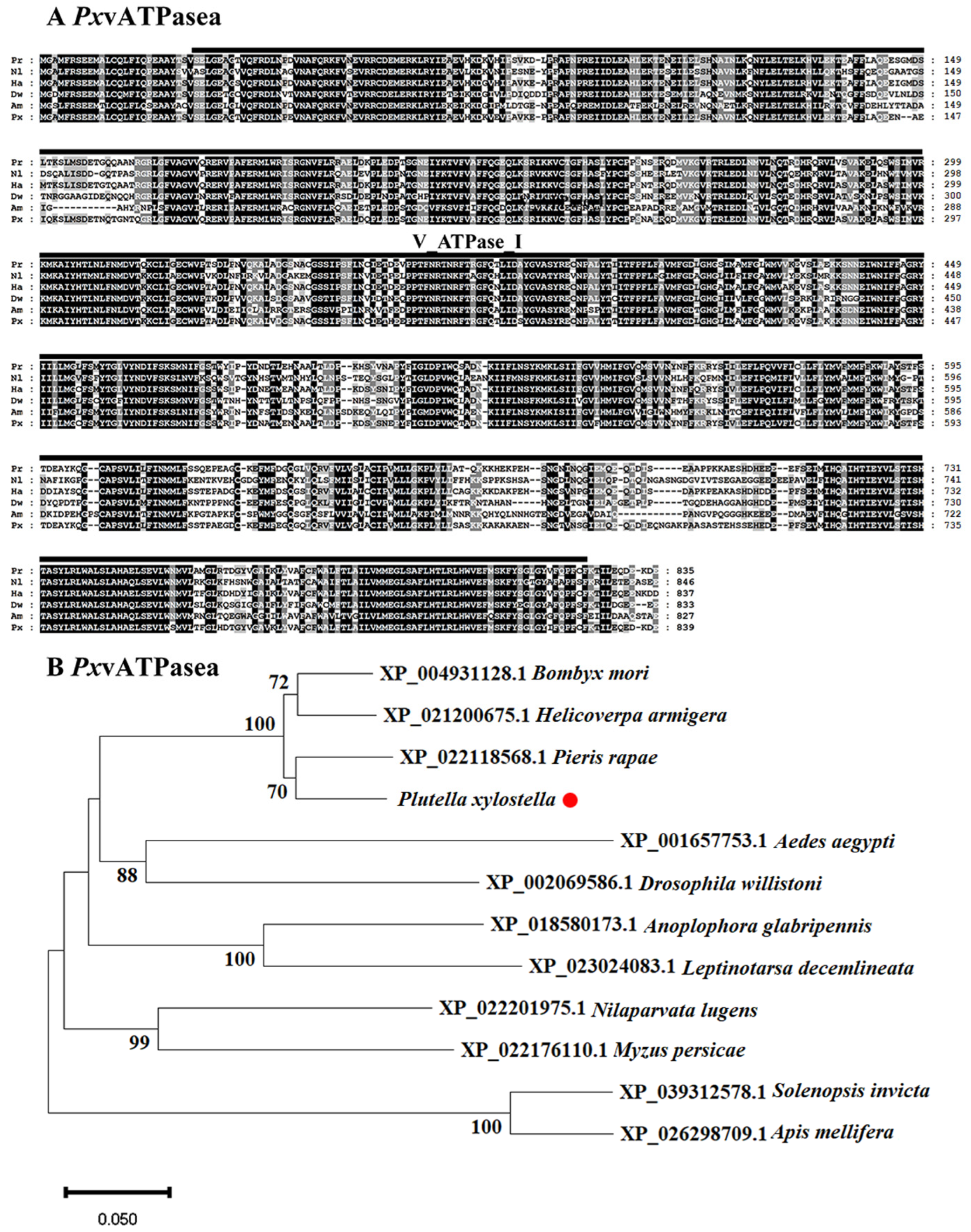 Insects 16 01054 g001 Insects 16 01054 g001
