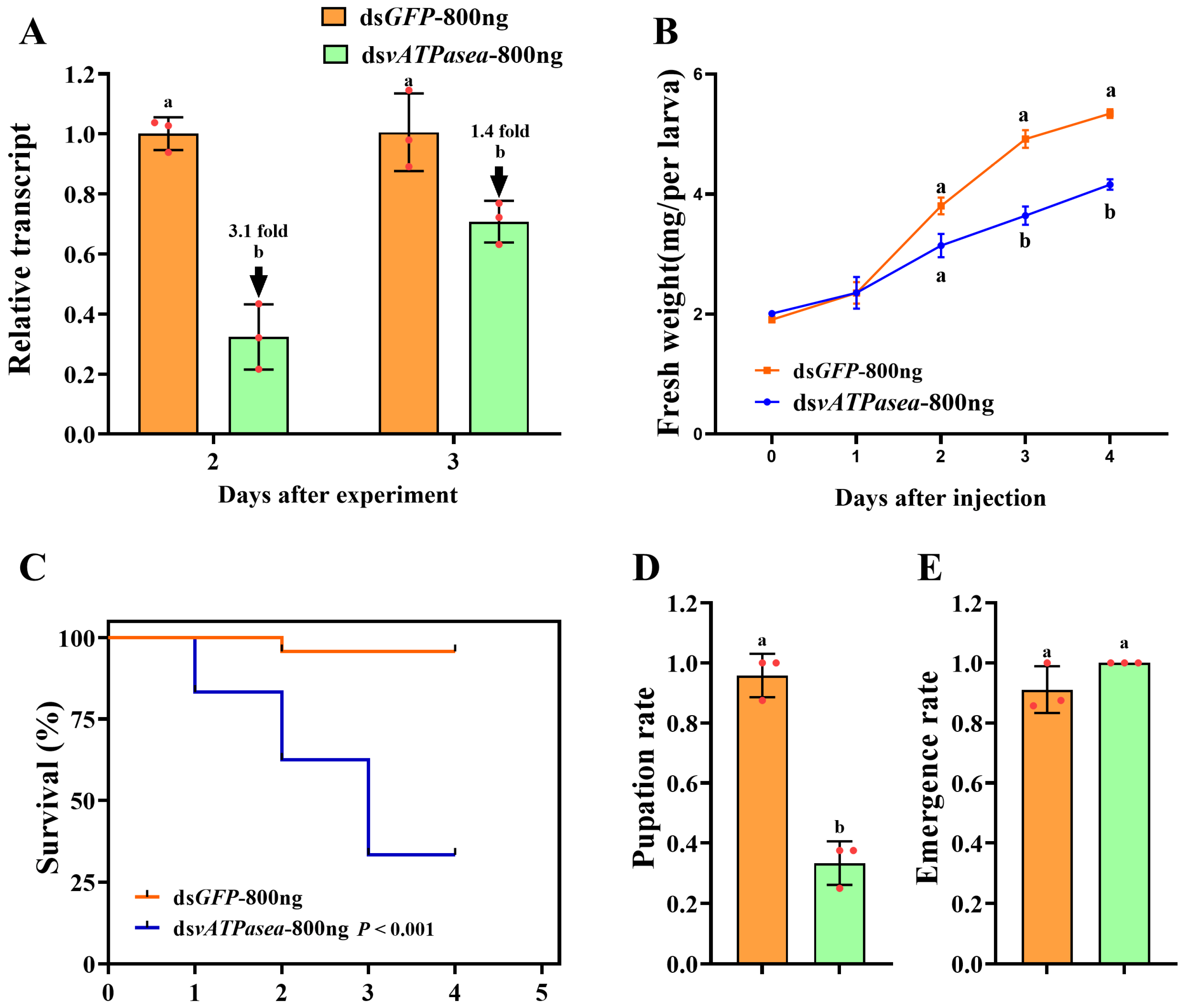 Insects 16 01054 g003 Insects 16 01054 g003