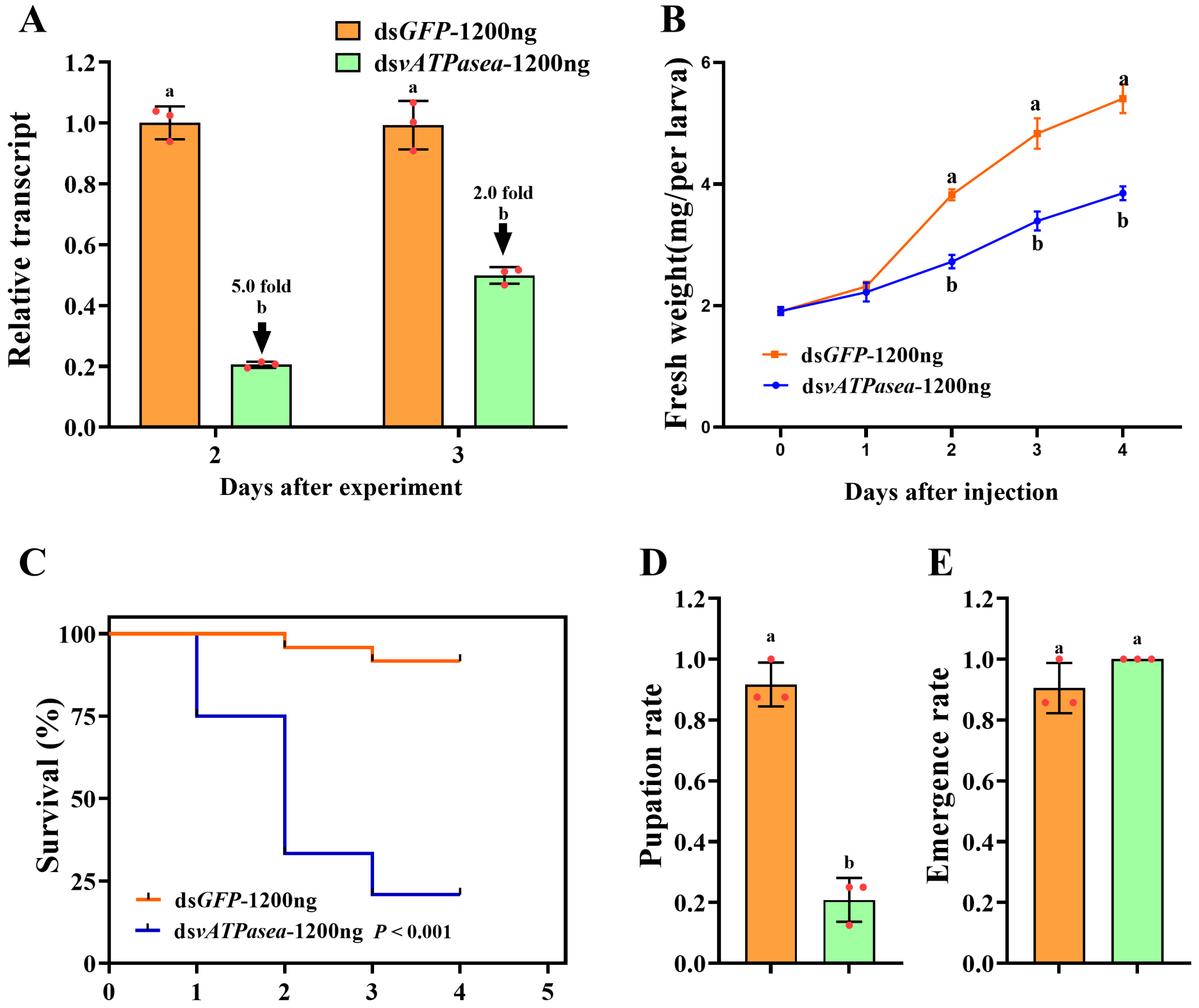 Insects 16 01054 g005 Insects 16 01054 g005