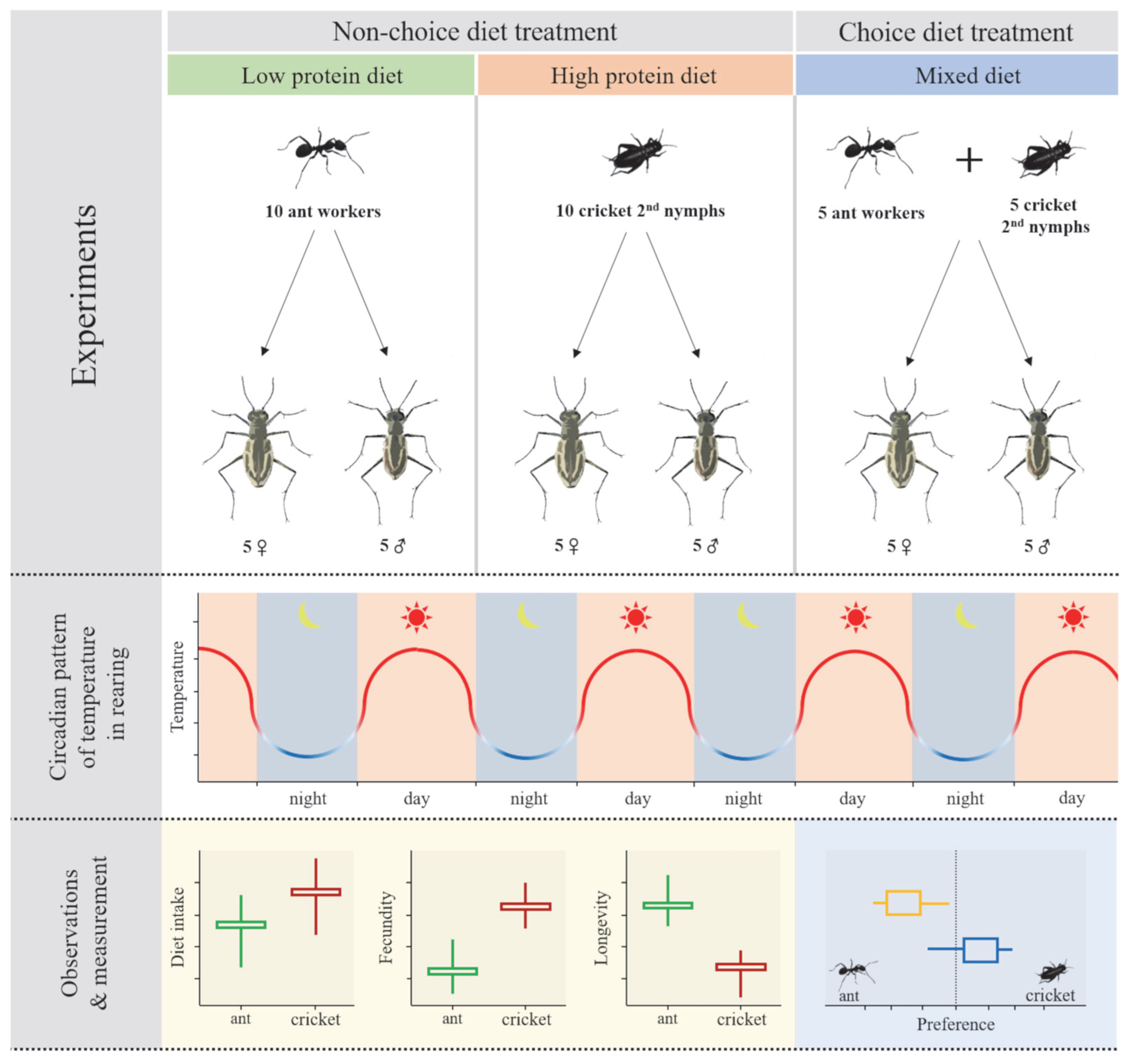 Insects 16 01066 g001 Insects 16 01066 g001