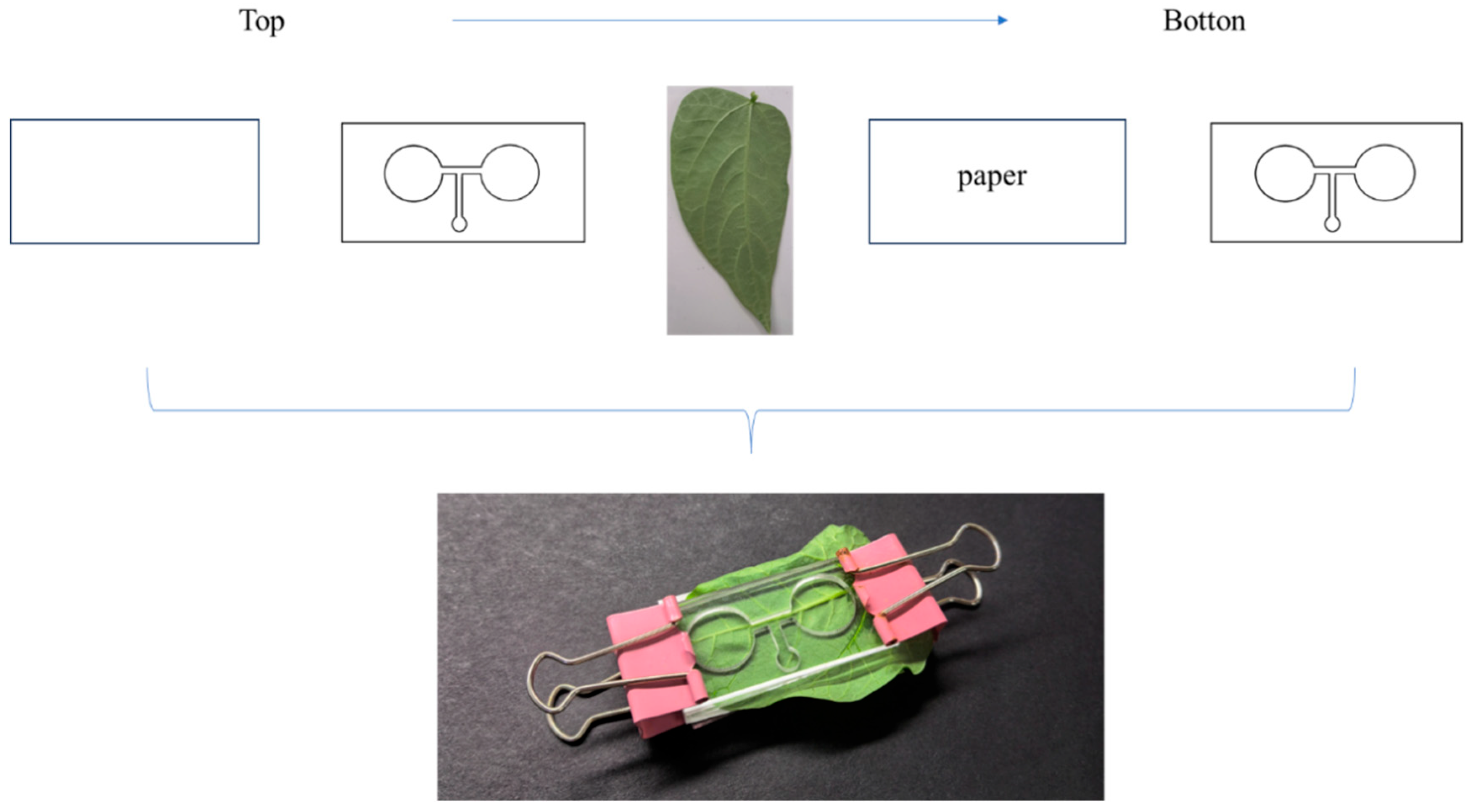 Insects 16 01069 g001 Insects 16 01069 g001