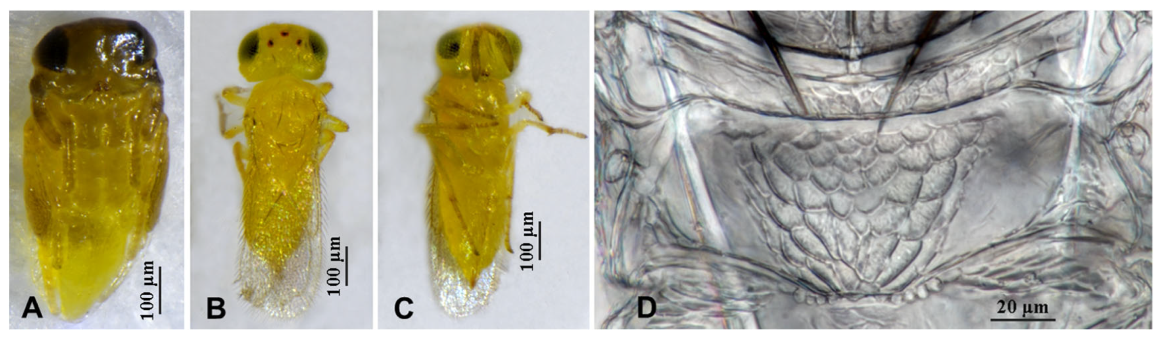 Insects 16 01070 g003