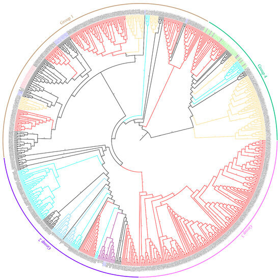 Comprehensive Analysis of Cathepsin Genes in Hemiptera