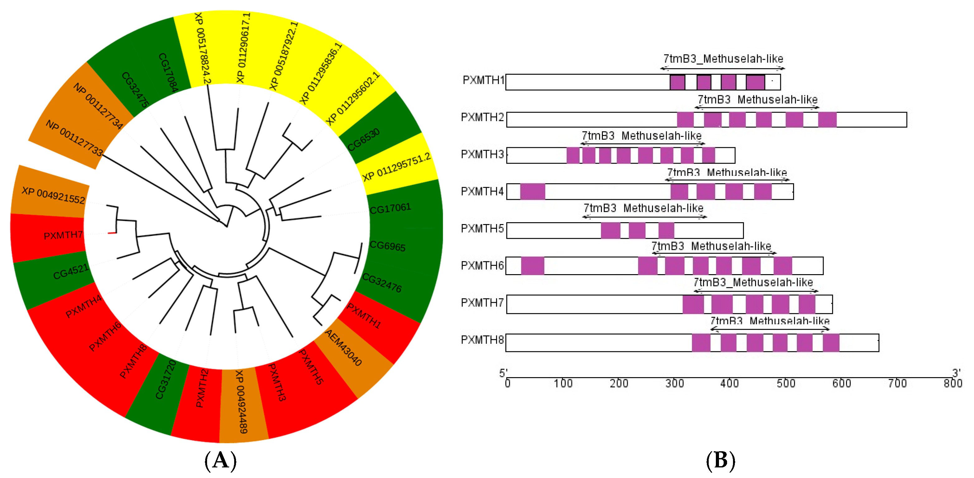 Insects 16 01092 g003 Insects 16 01092 g003