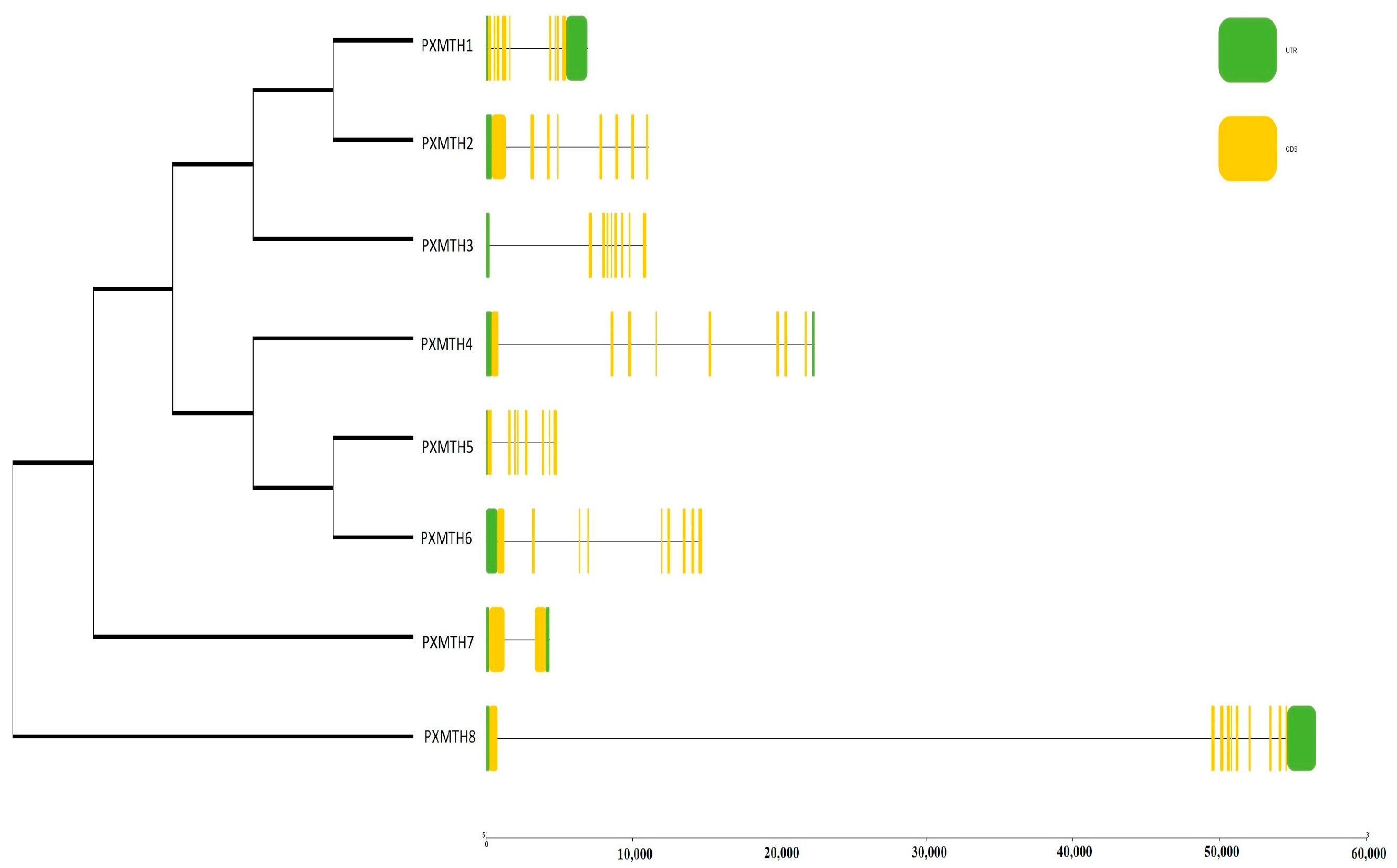 Insects 16 01092 g005 Insects 16 01092 g005