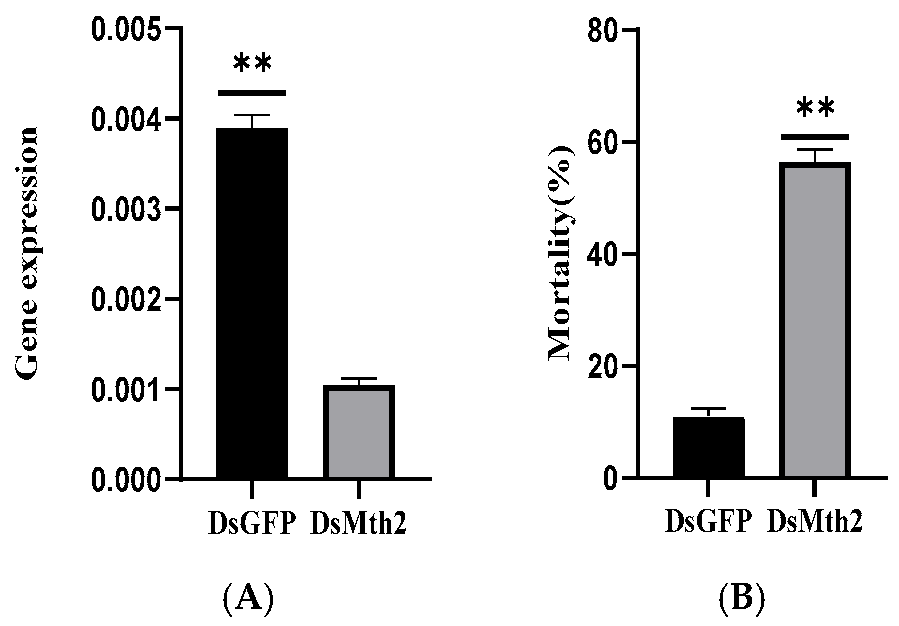 Insects 16 01092 g008 Insects 16 01092 g008