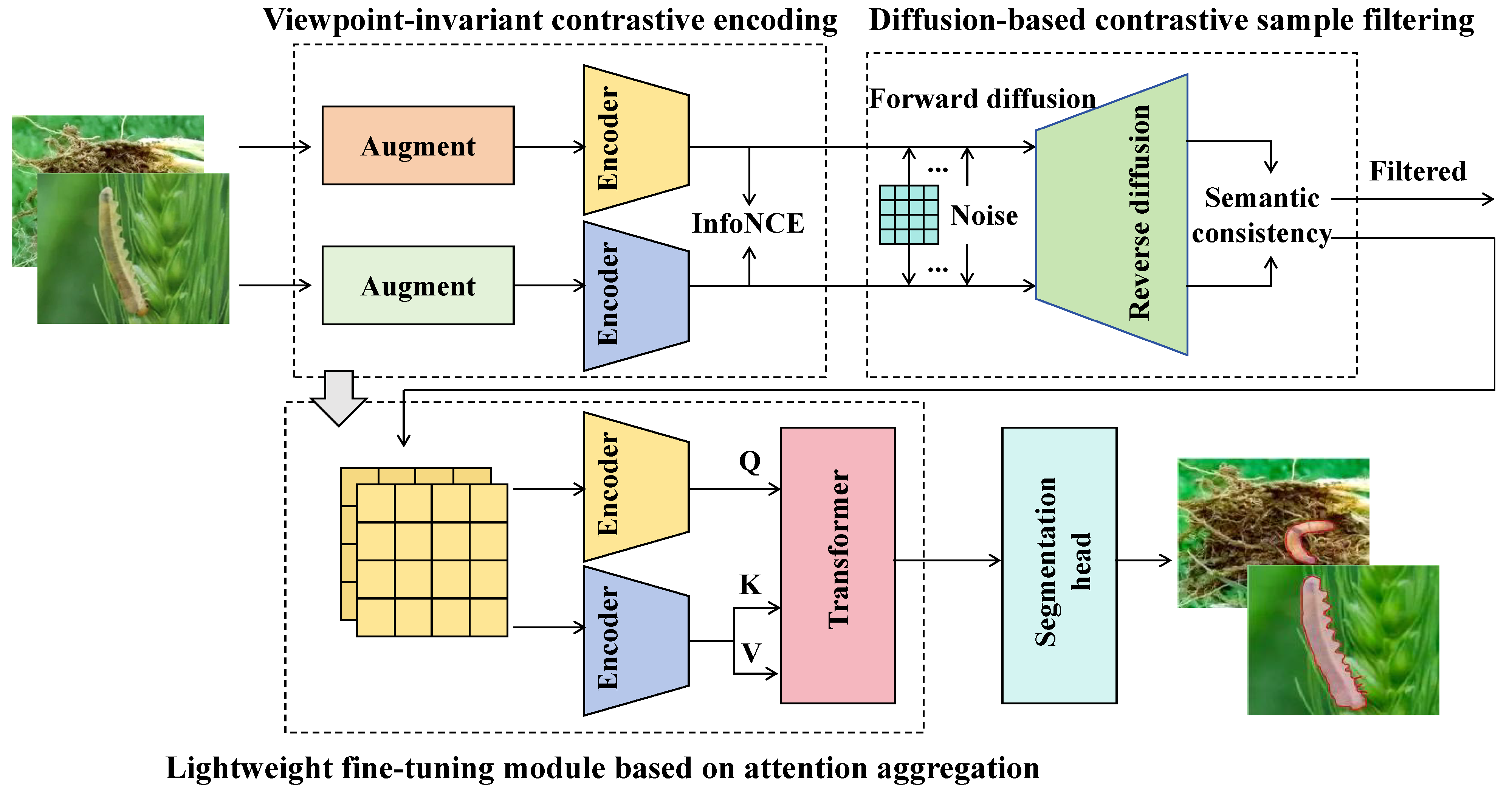 Insects 16 01096 g004