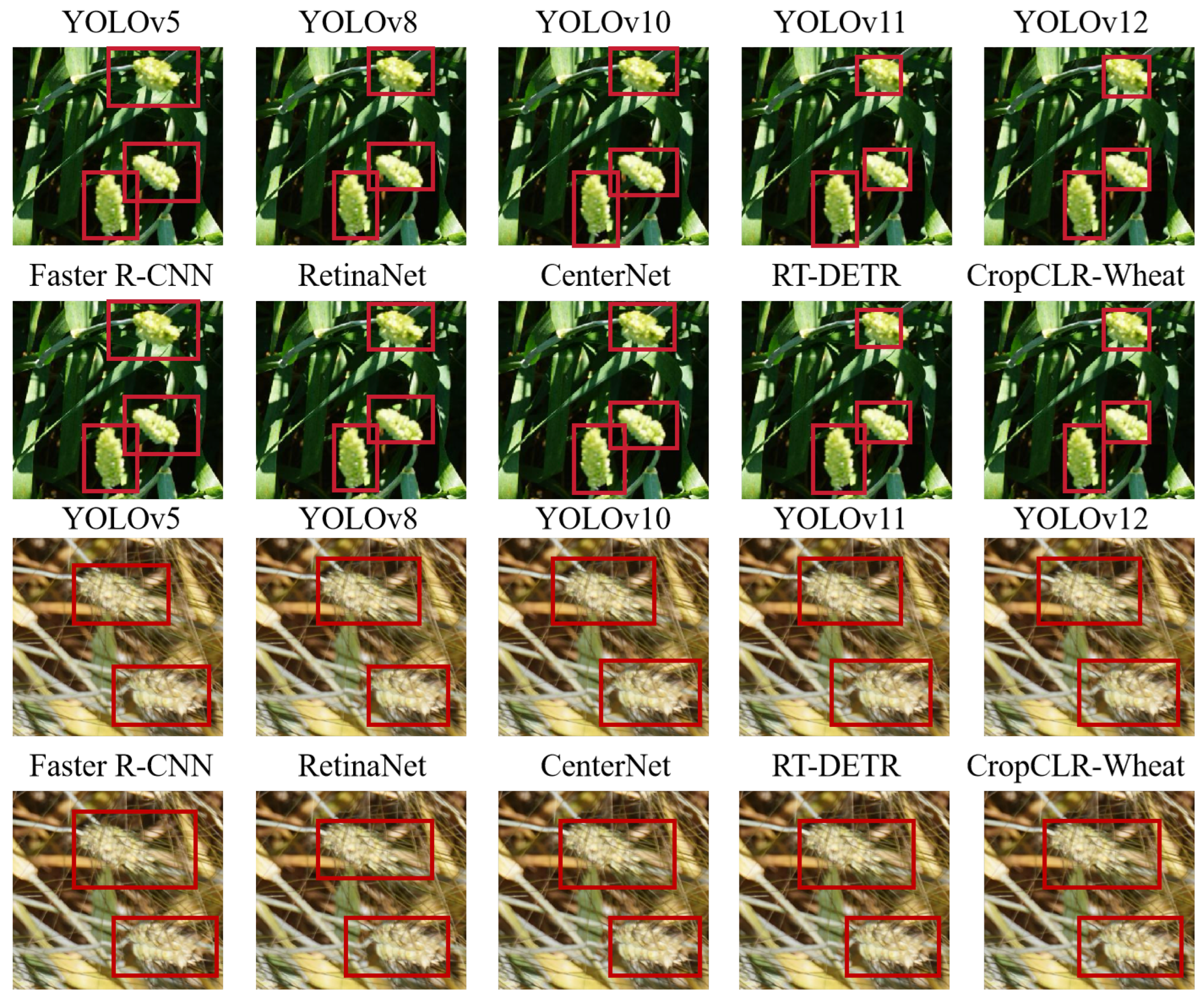 Insects 16 01096 g011