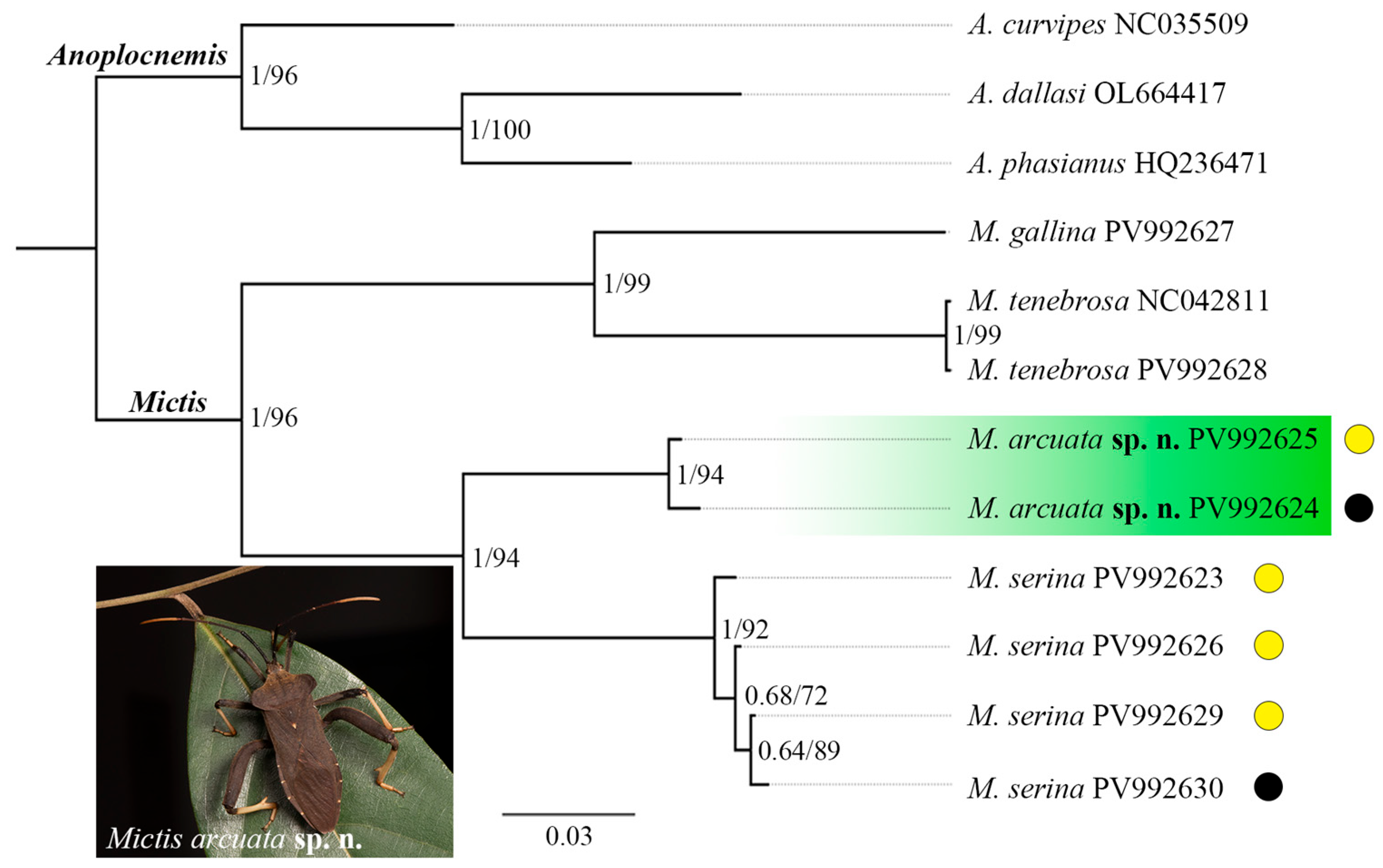 Insects 16 01099 g001