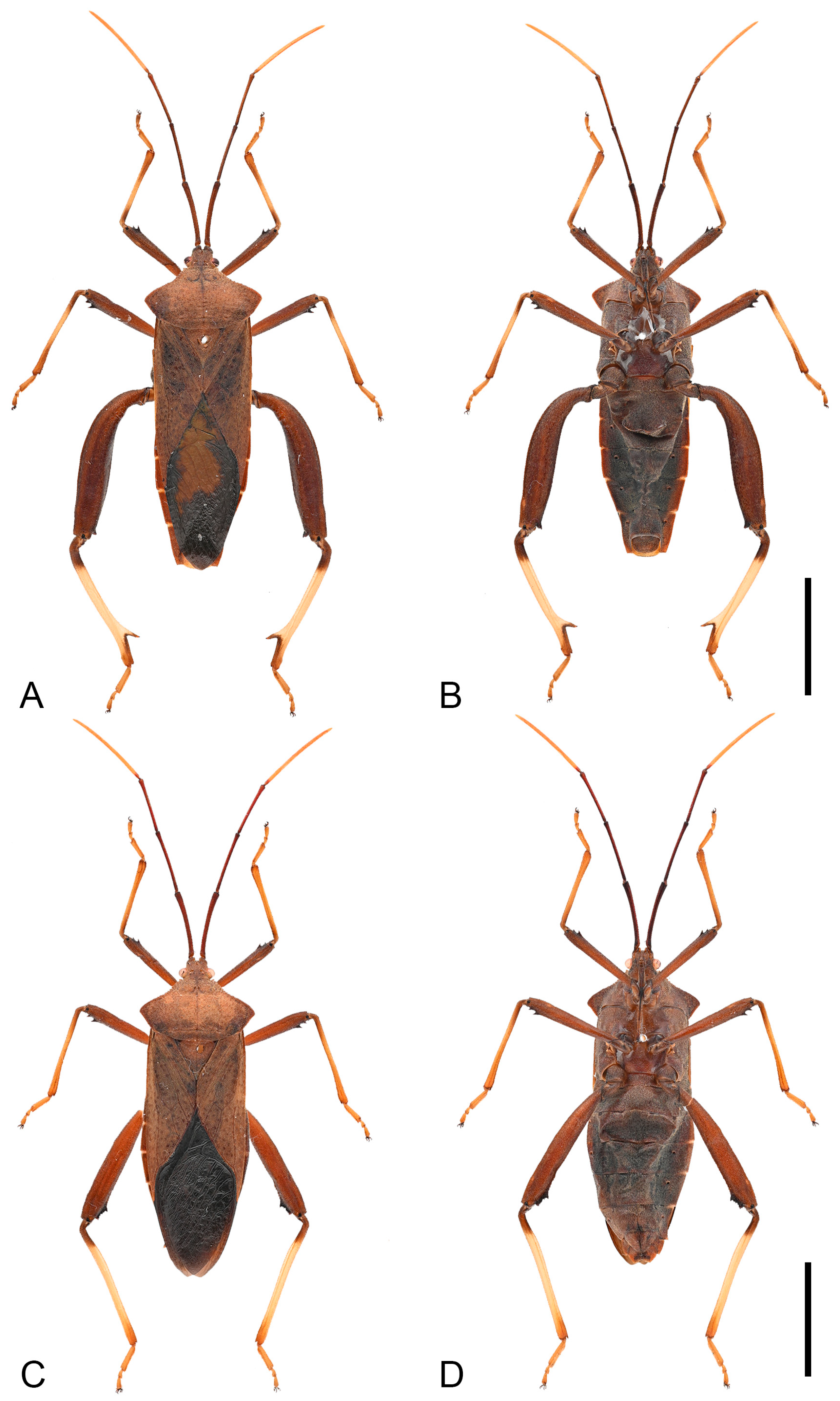 Insects 16 01099 g010