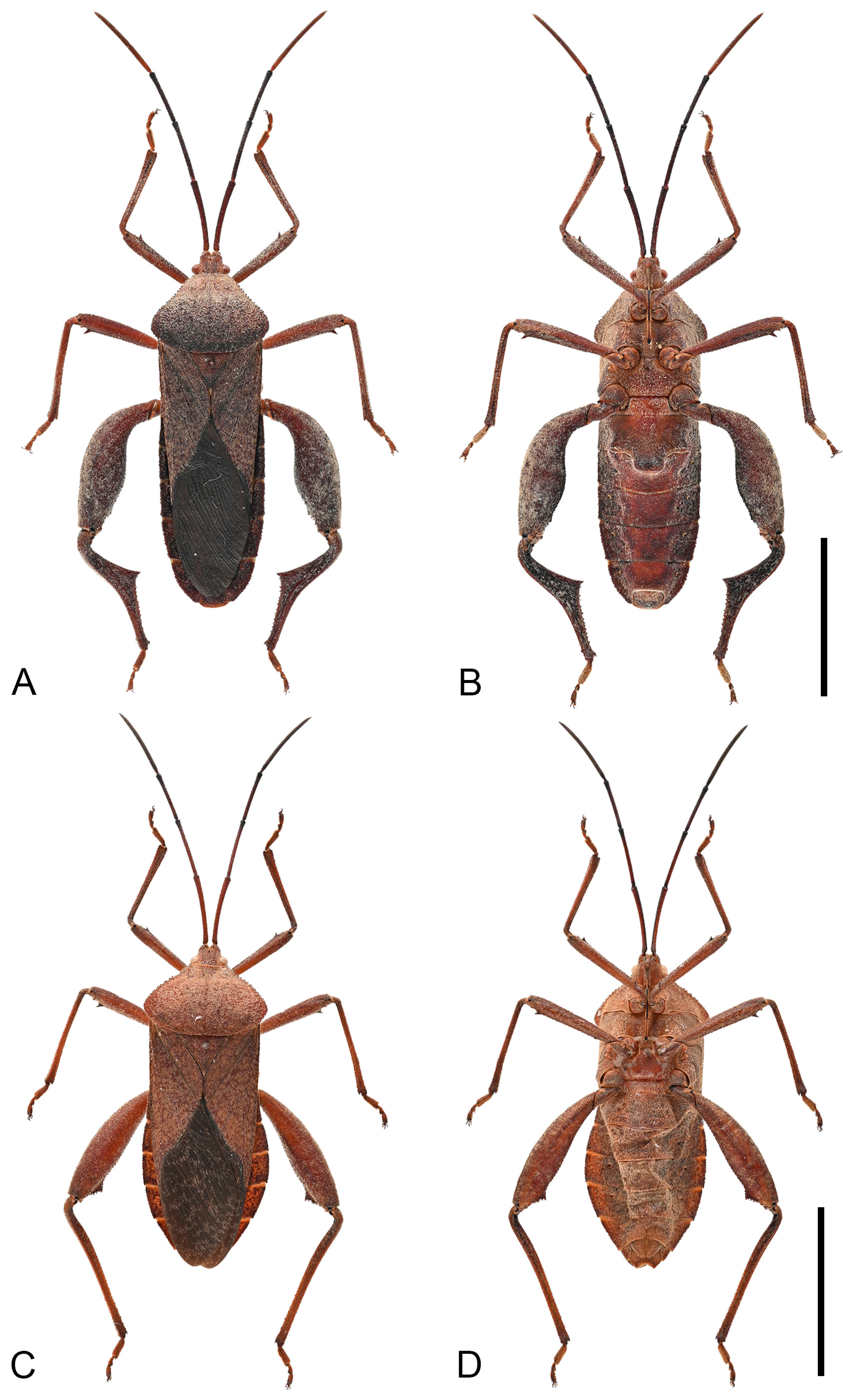 Insects 16 01099 g012