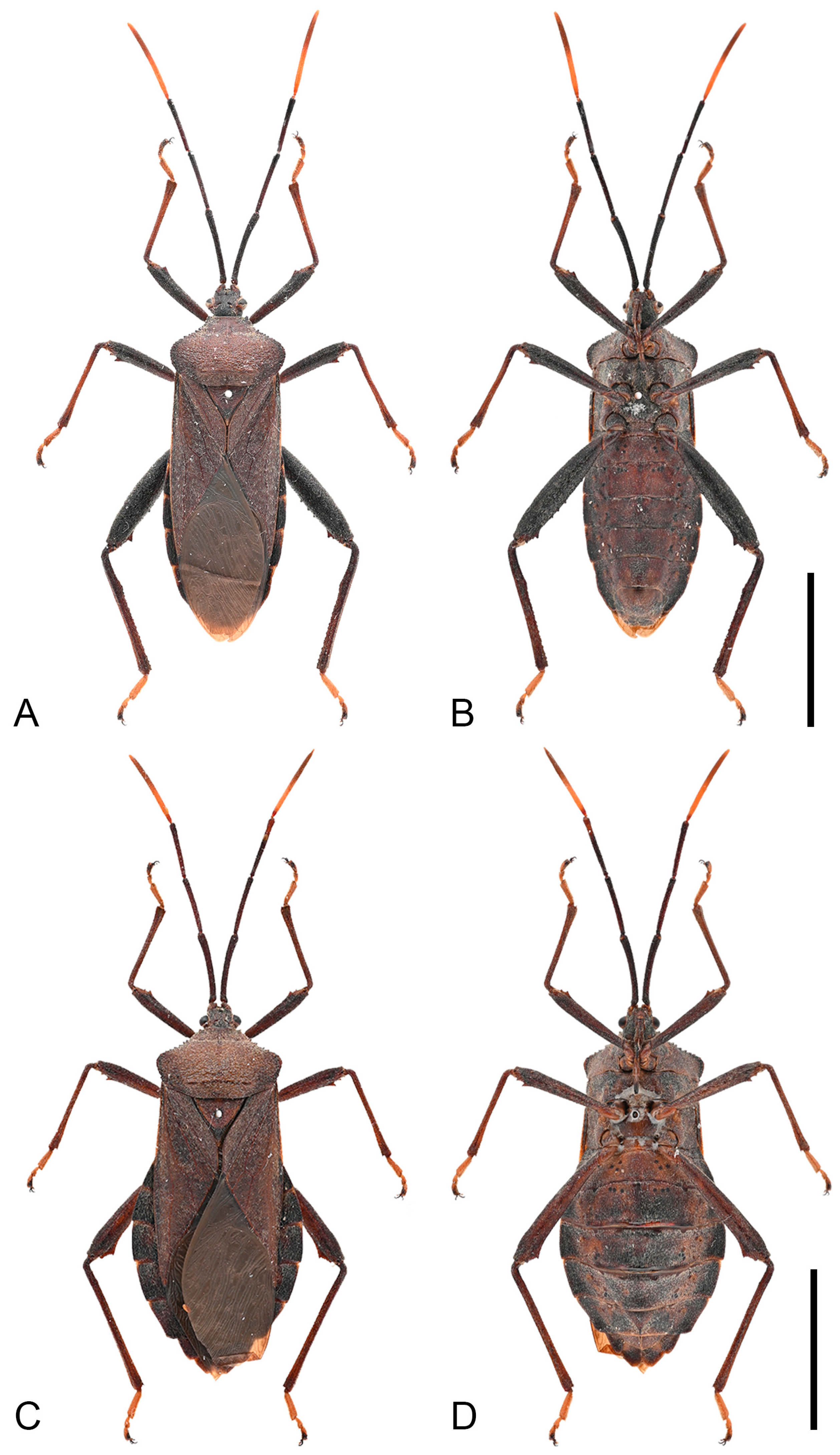 Insects 16 01099 g015