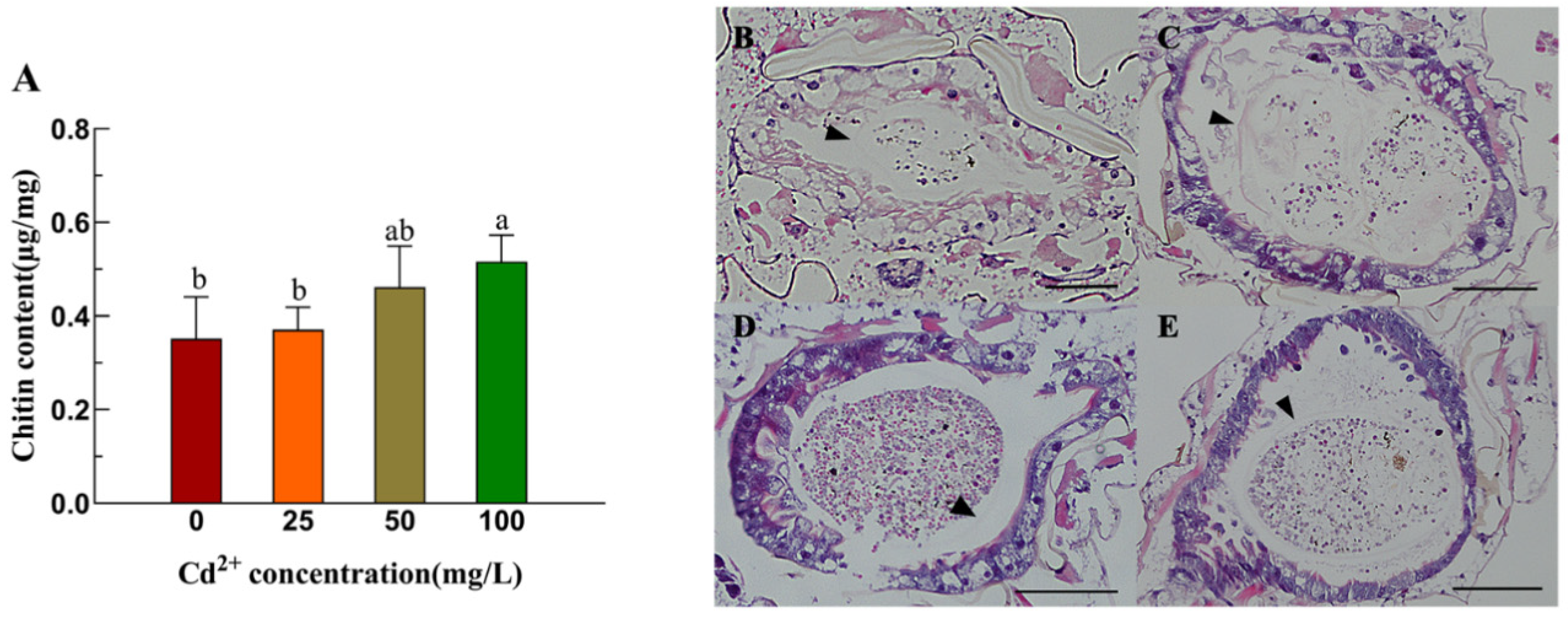 Insects 16 01102 g002 Insects 16 01102 g002