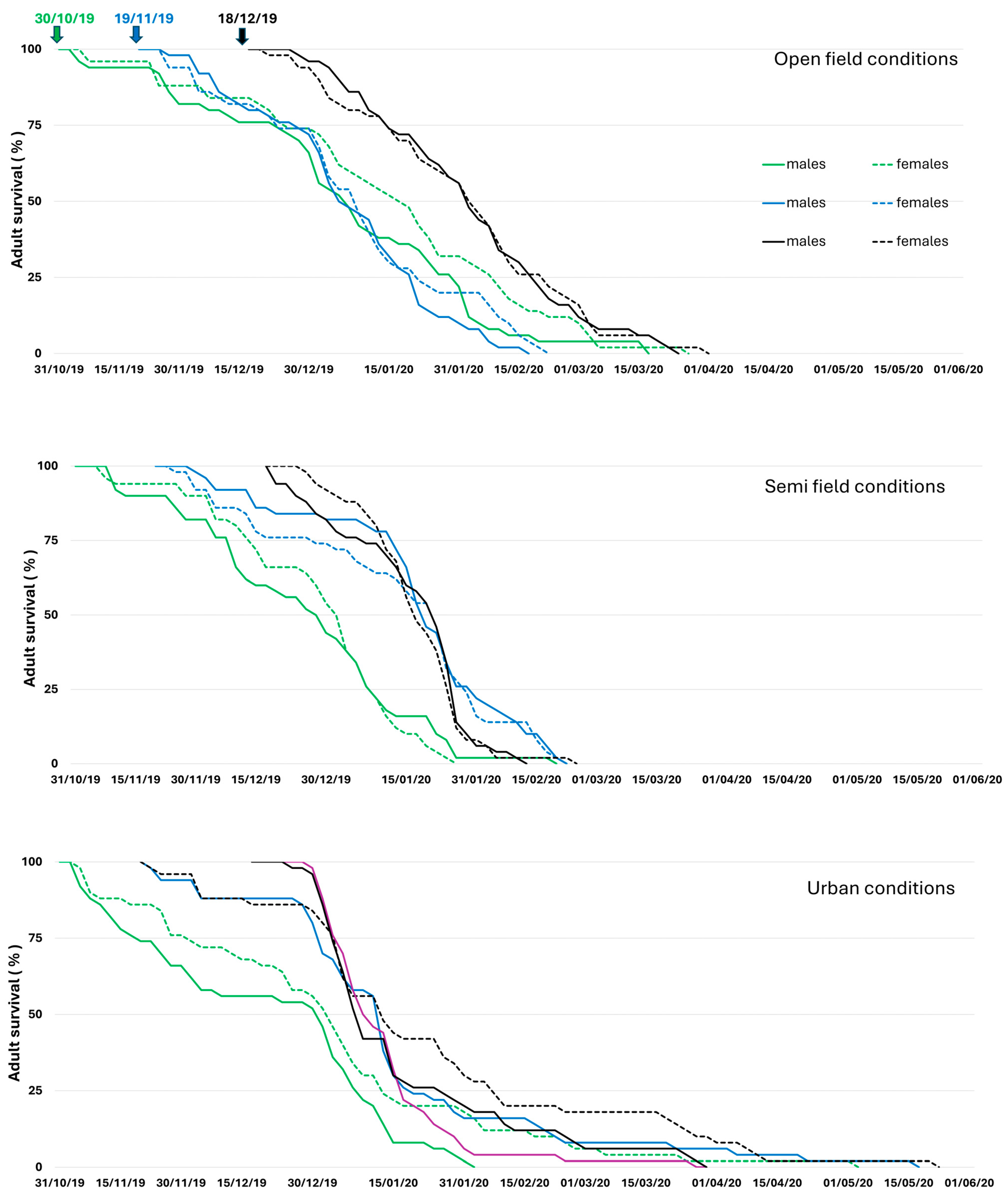 Insects 16 01104 g004 Insects 16 01104 g004