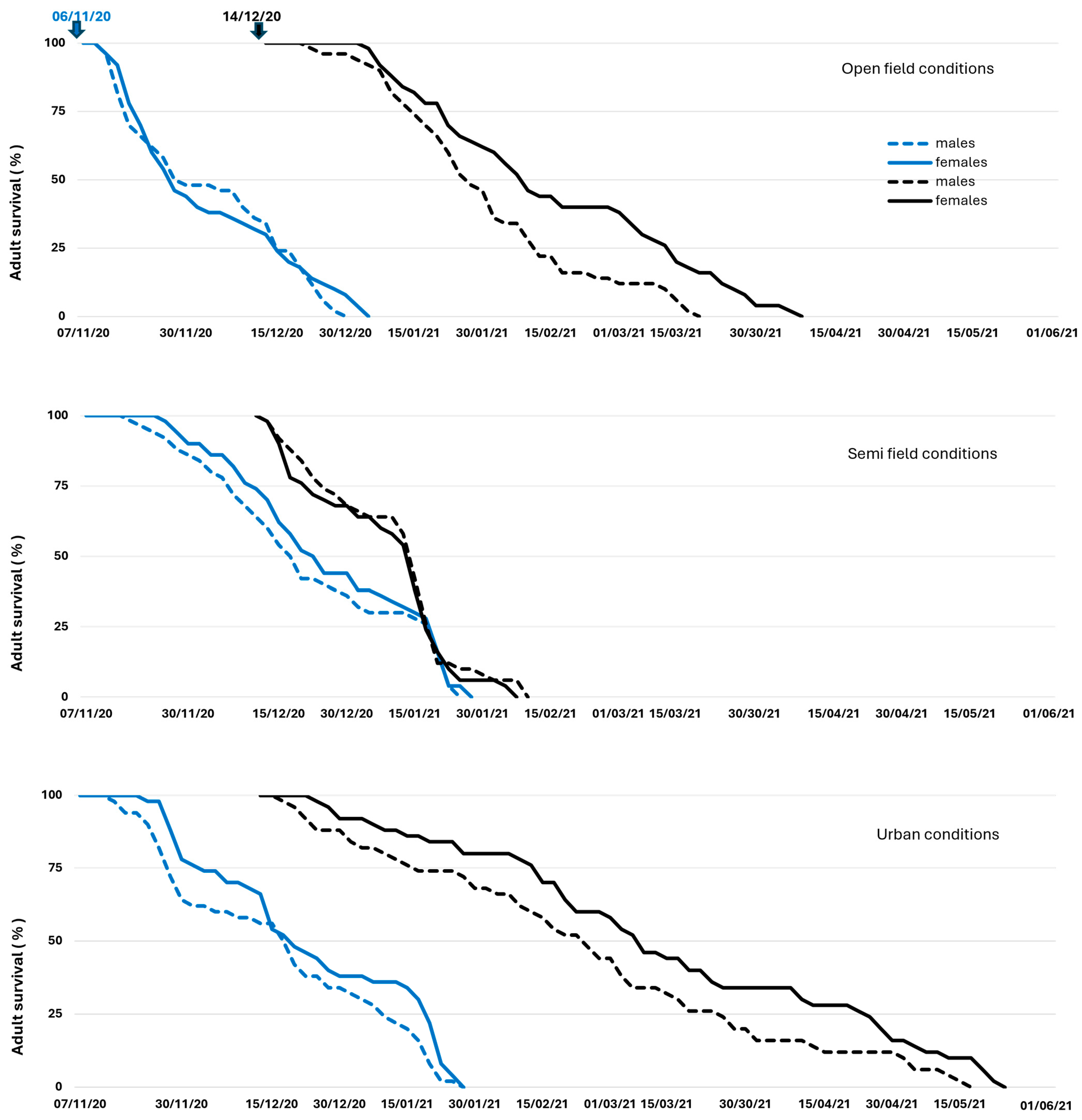 Insects 16 01104 g005 Insects 16 01104 g005