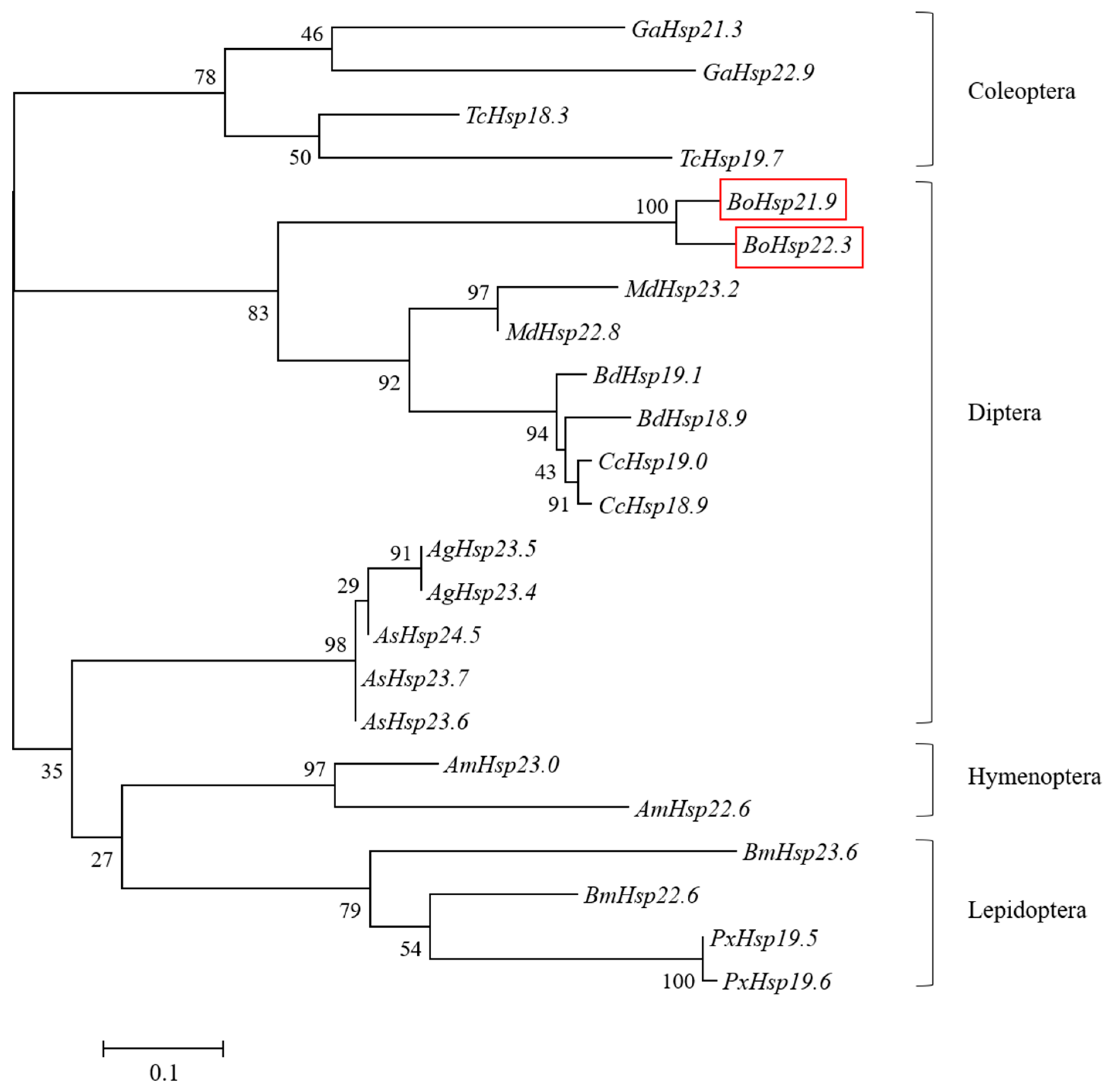 Insects 16 01107 g004 Insects 16 01107 g004