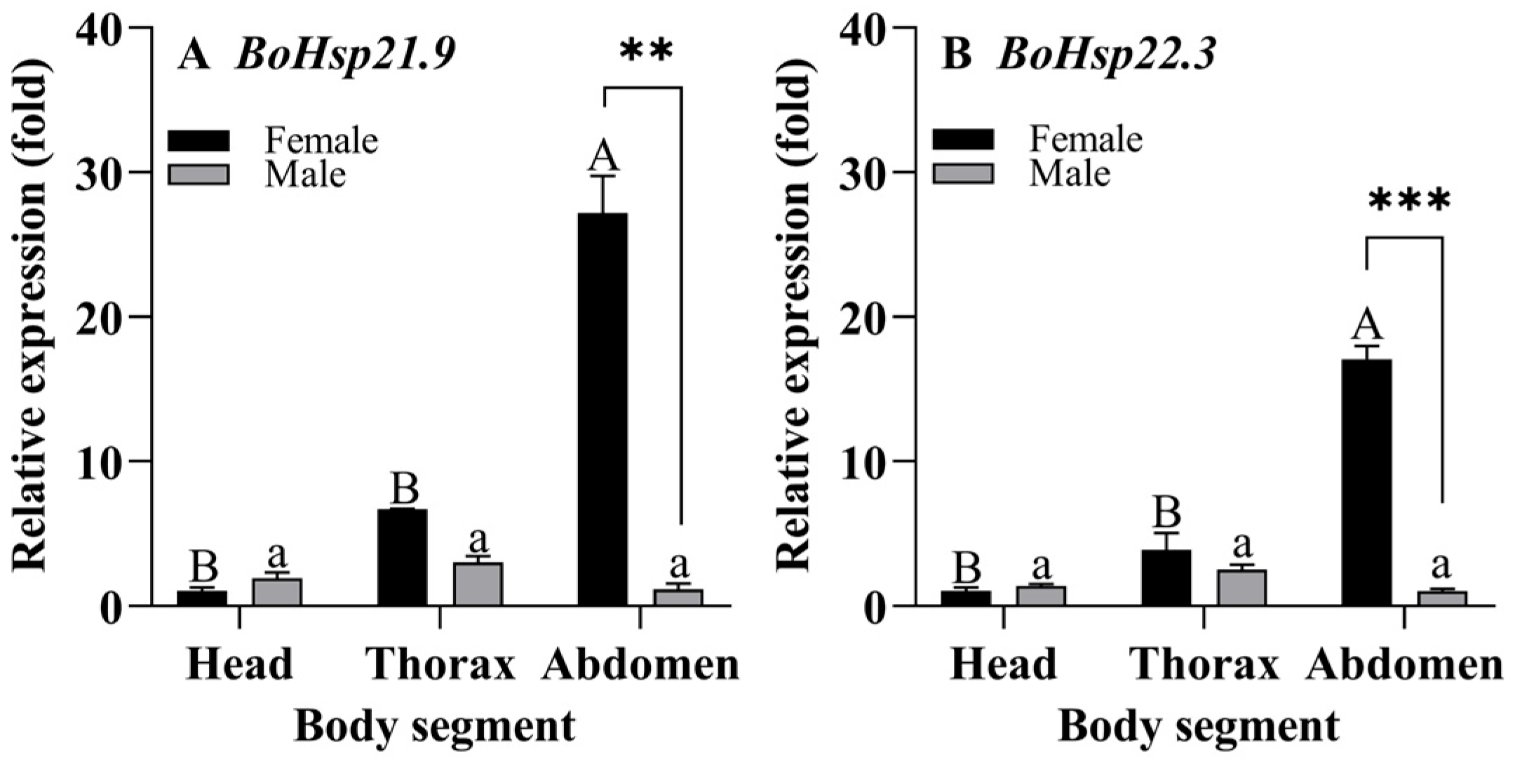 Insects 16 01107 g006 Insects 16 01107 g006