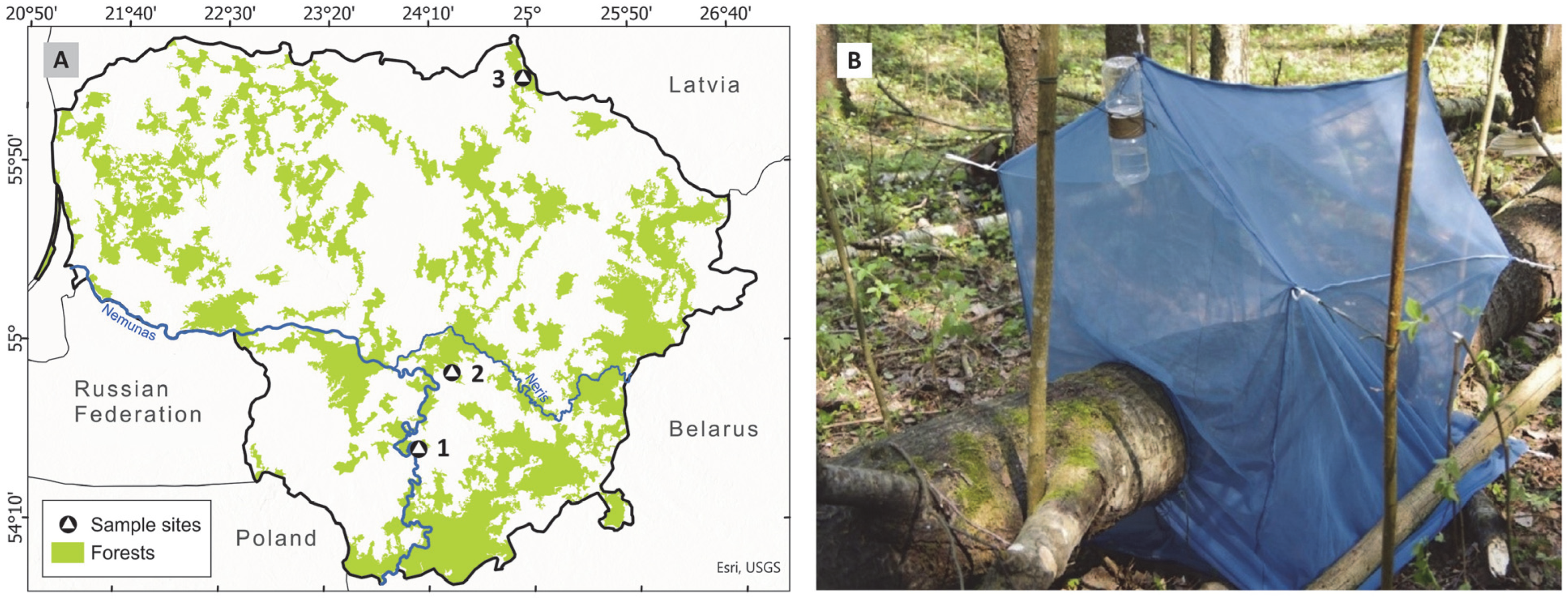 Insects 16 01109 g001 Insects 16 01109 g001