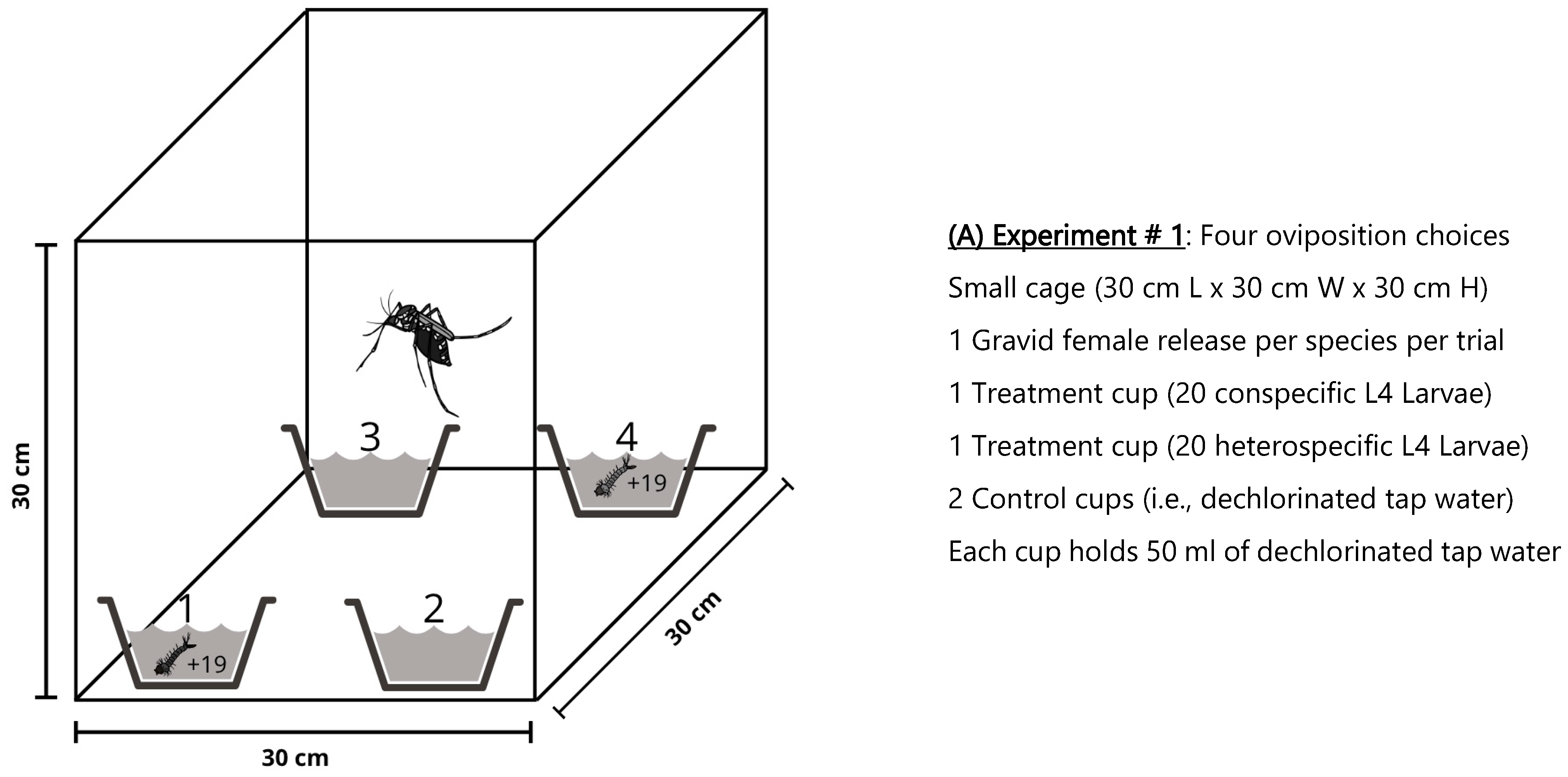 Insects 16 01110 g001a