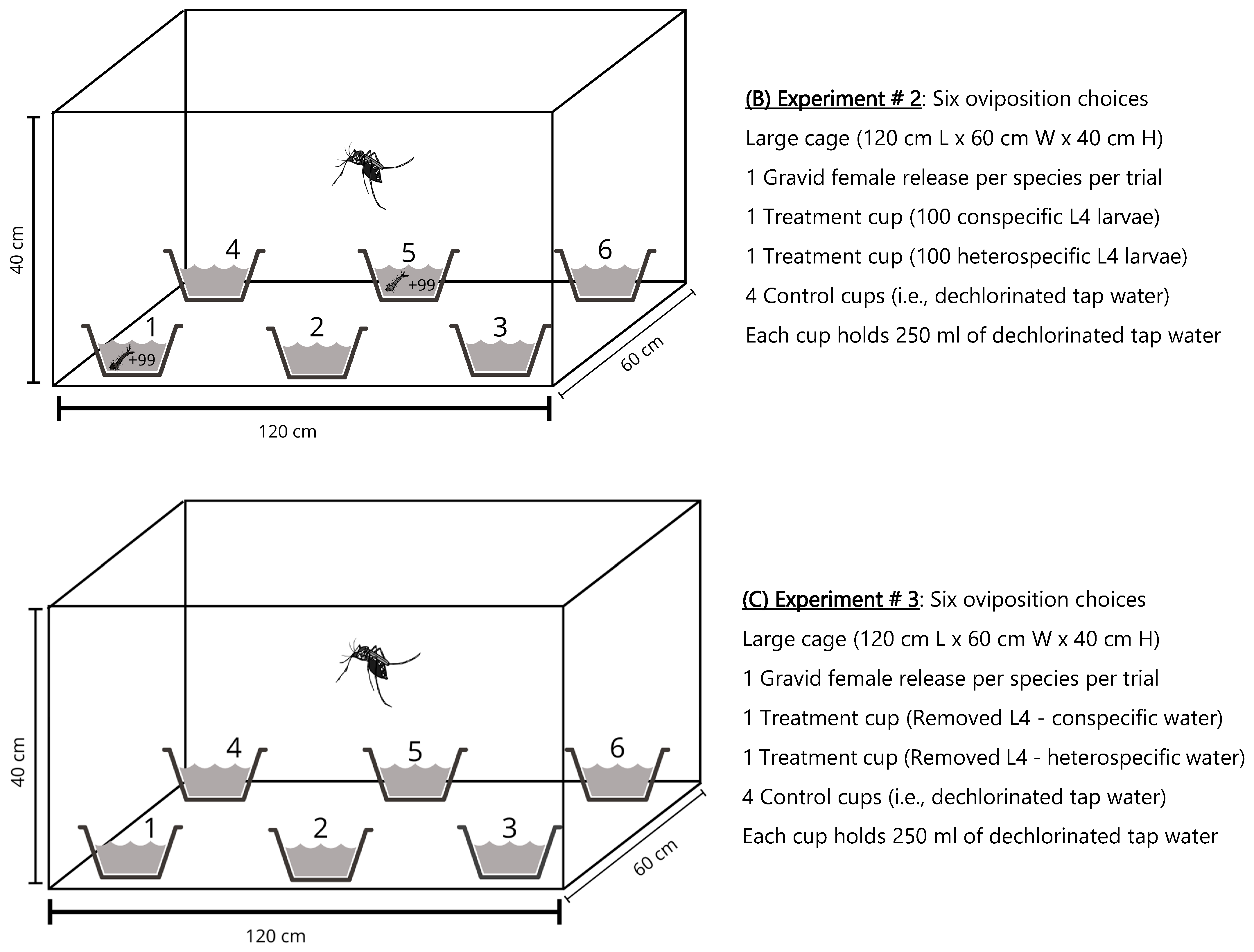 Insects 16 01110 g001b