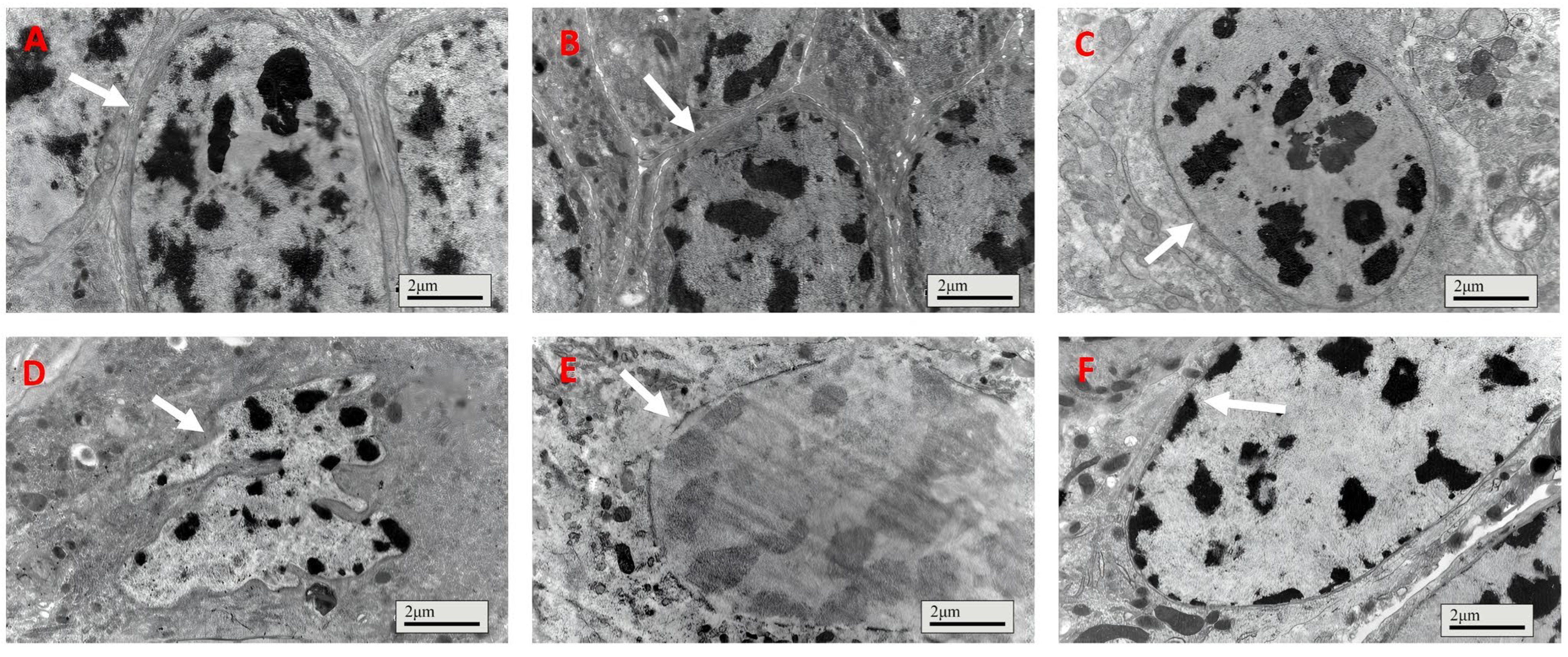 Insects 16 01111 g004 Insects 16 01111 g004
