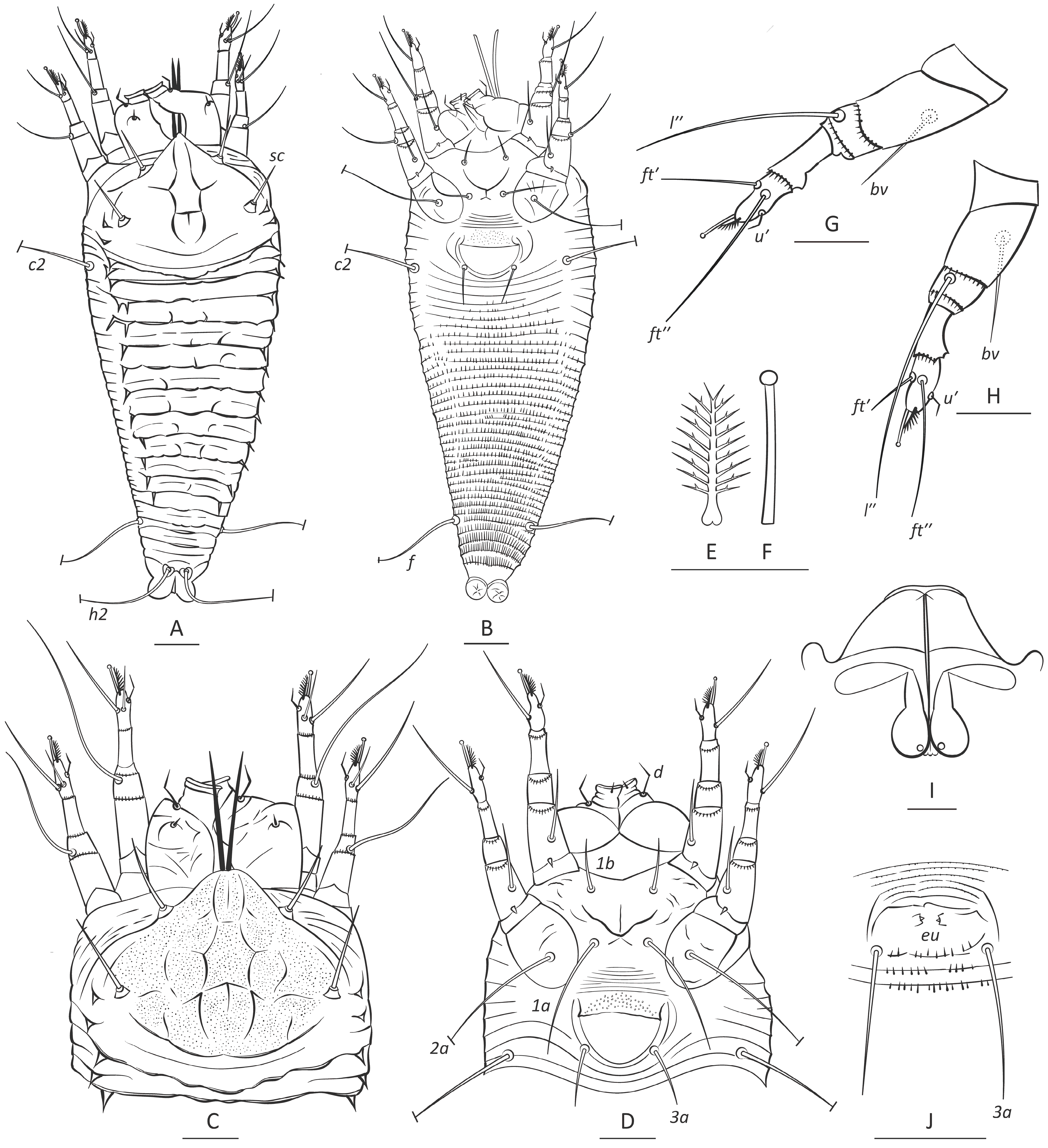 Insects 16 01113 g001
