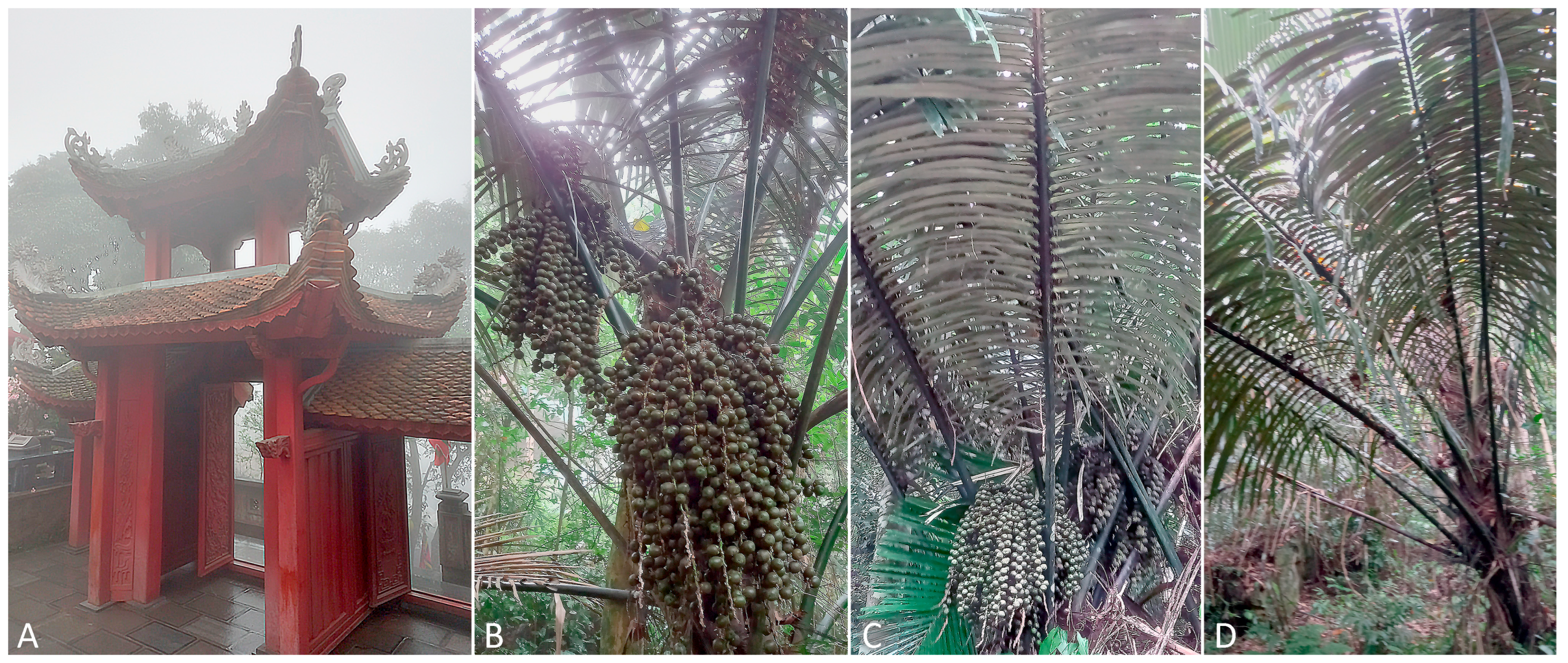 Insects 16 01113 g002