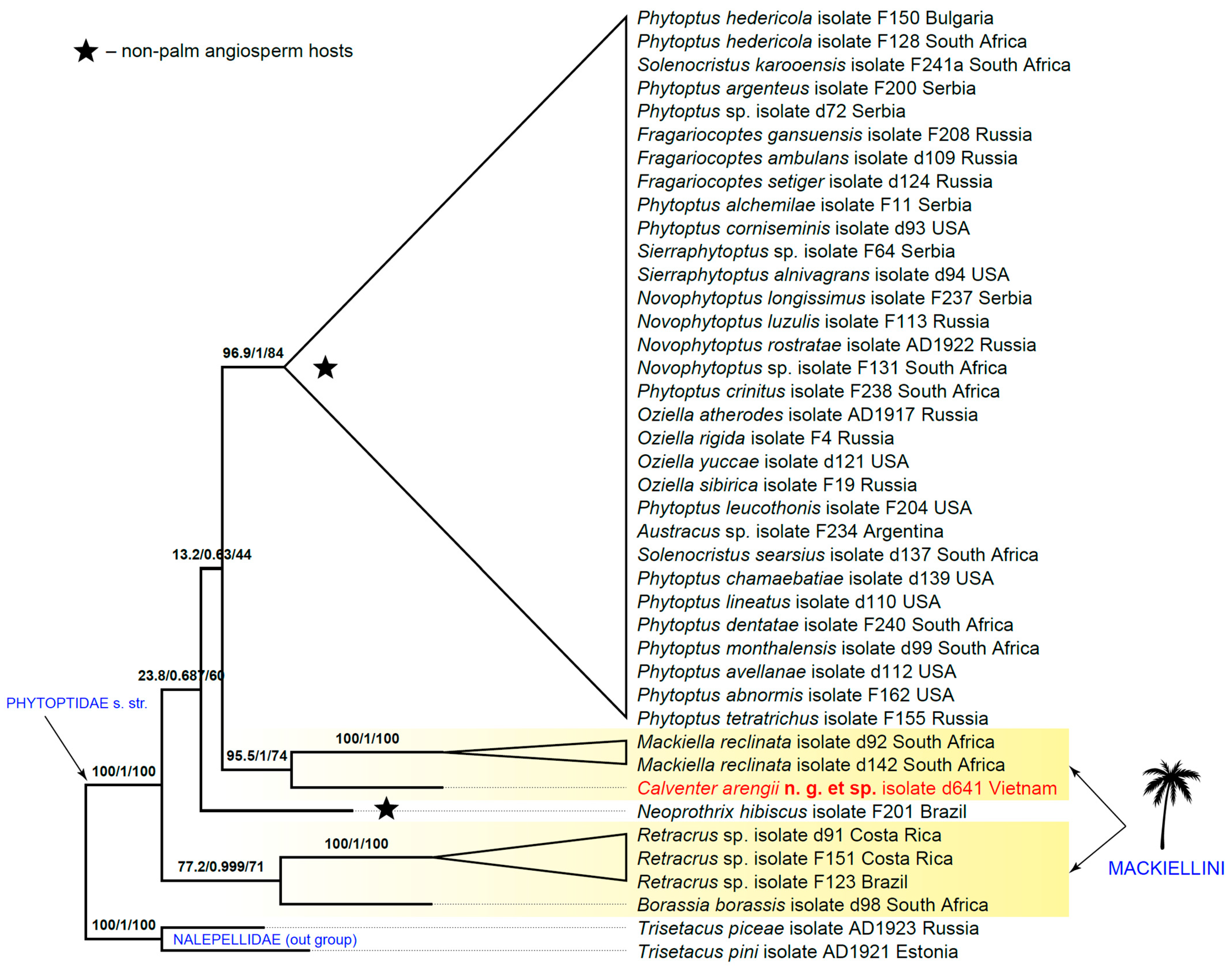 Insects 16 01113 g003