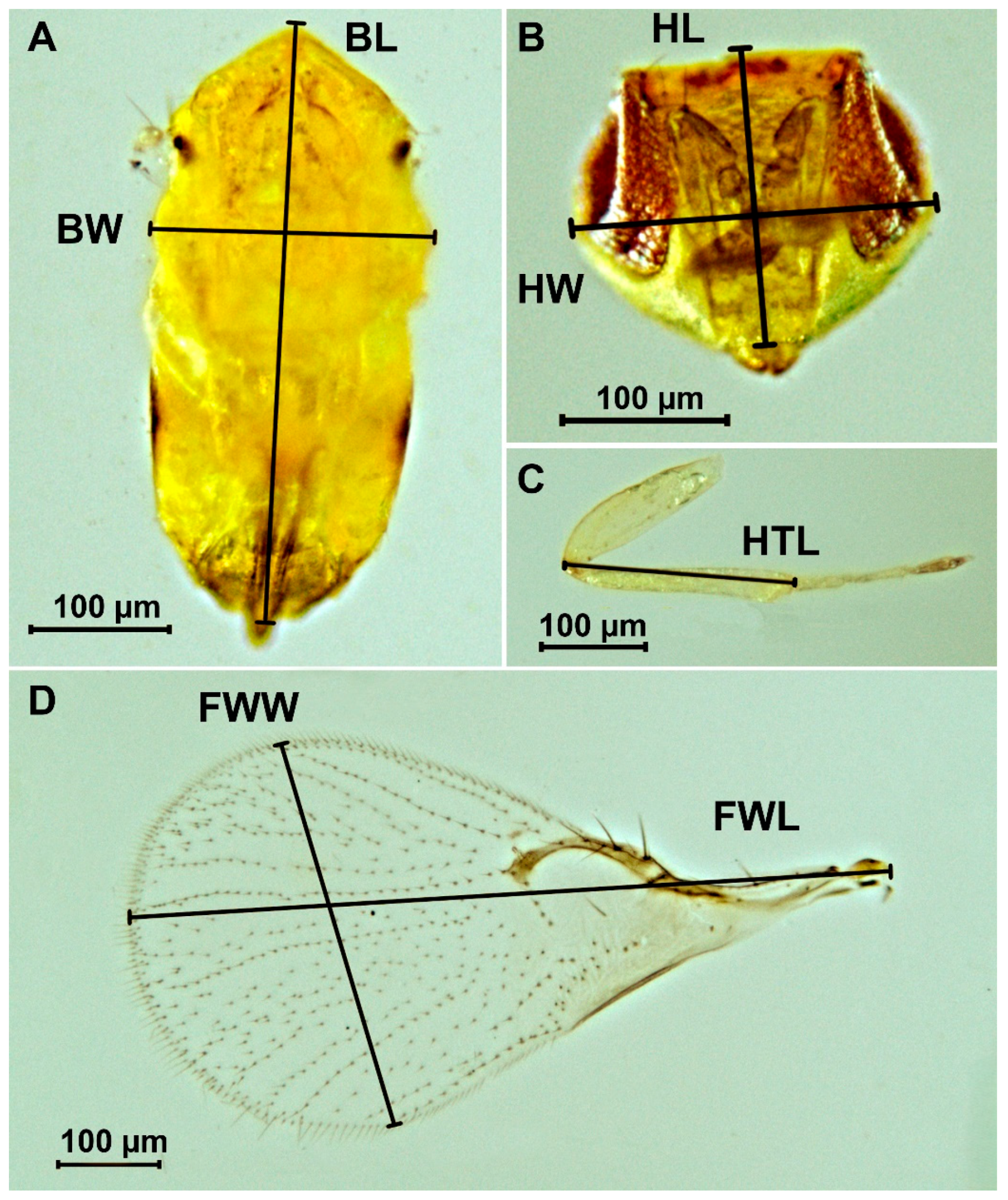 Insects 16 01114 g001 Insects 16 01114 g001