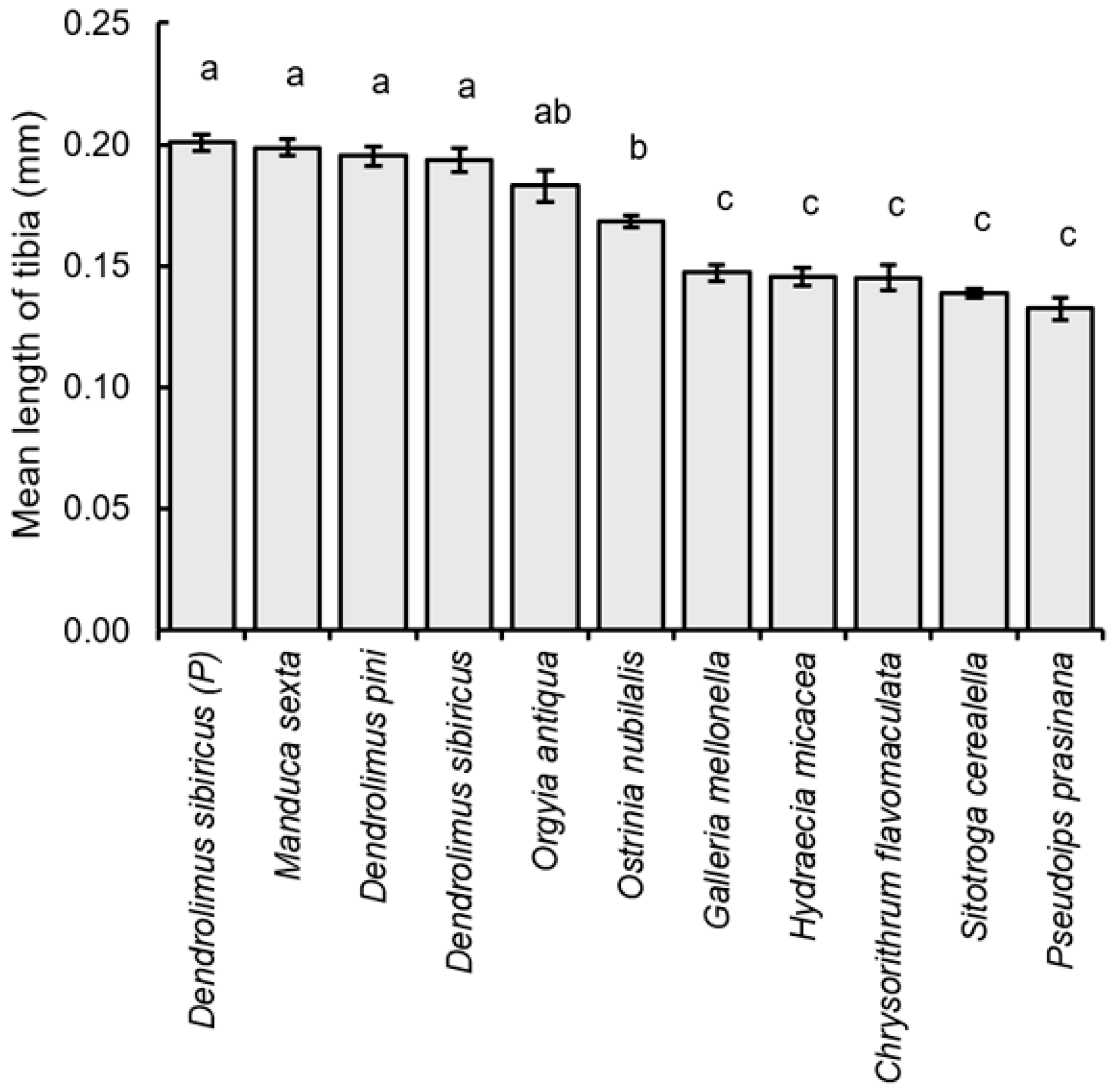 Insects 16 01114 g007 Insects 16 01114 g007