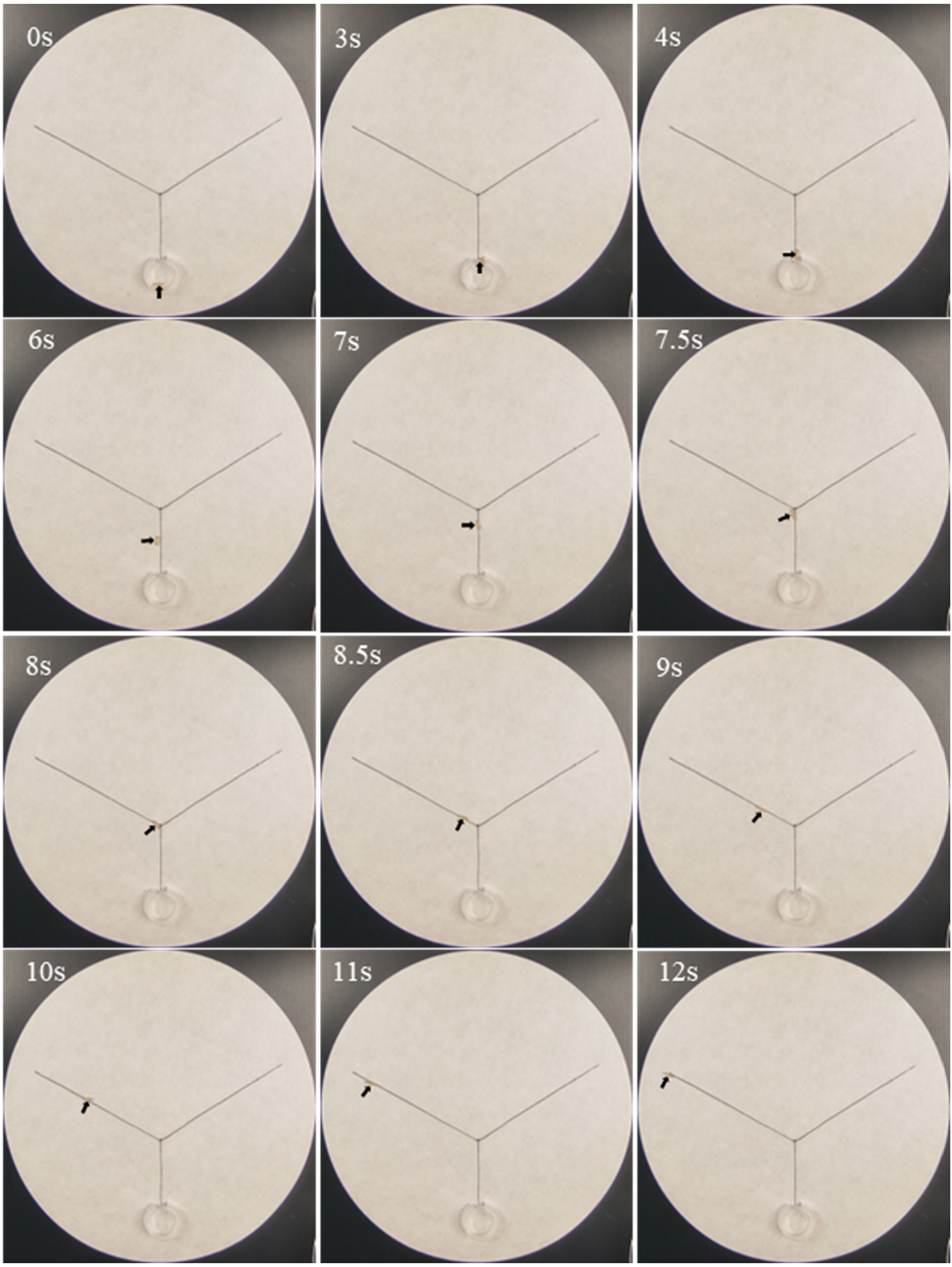 Insects 16 01116 g002