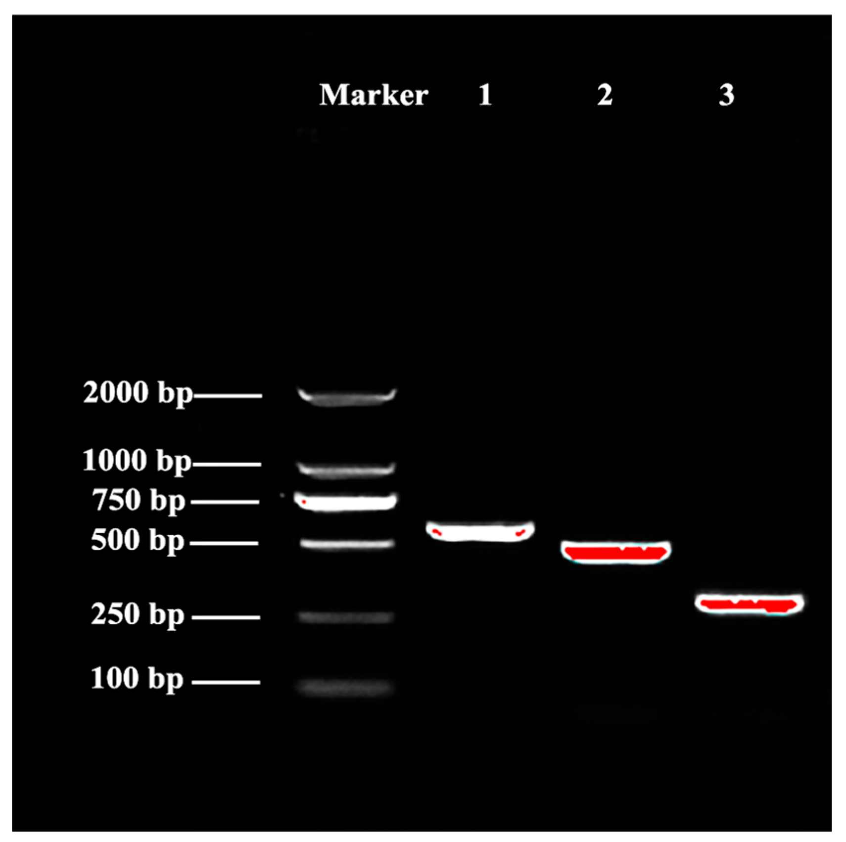 Insects 16 01117 g006 Insects 16 01117 g006
