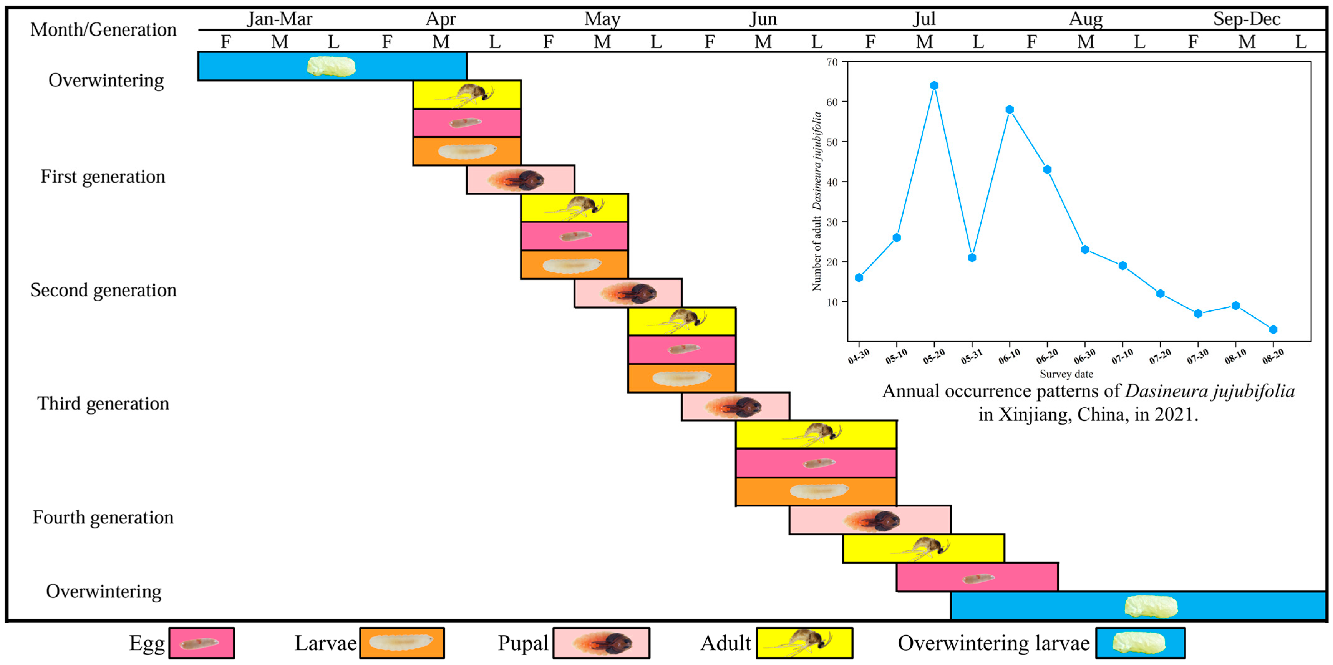 Insects 16 01118 g001