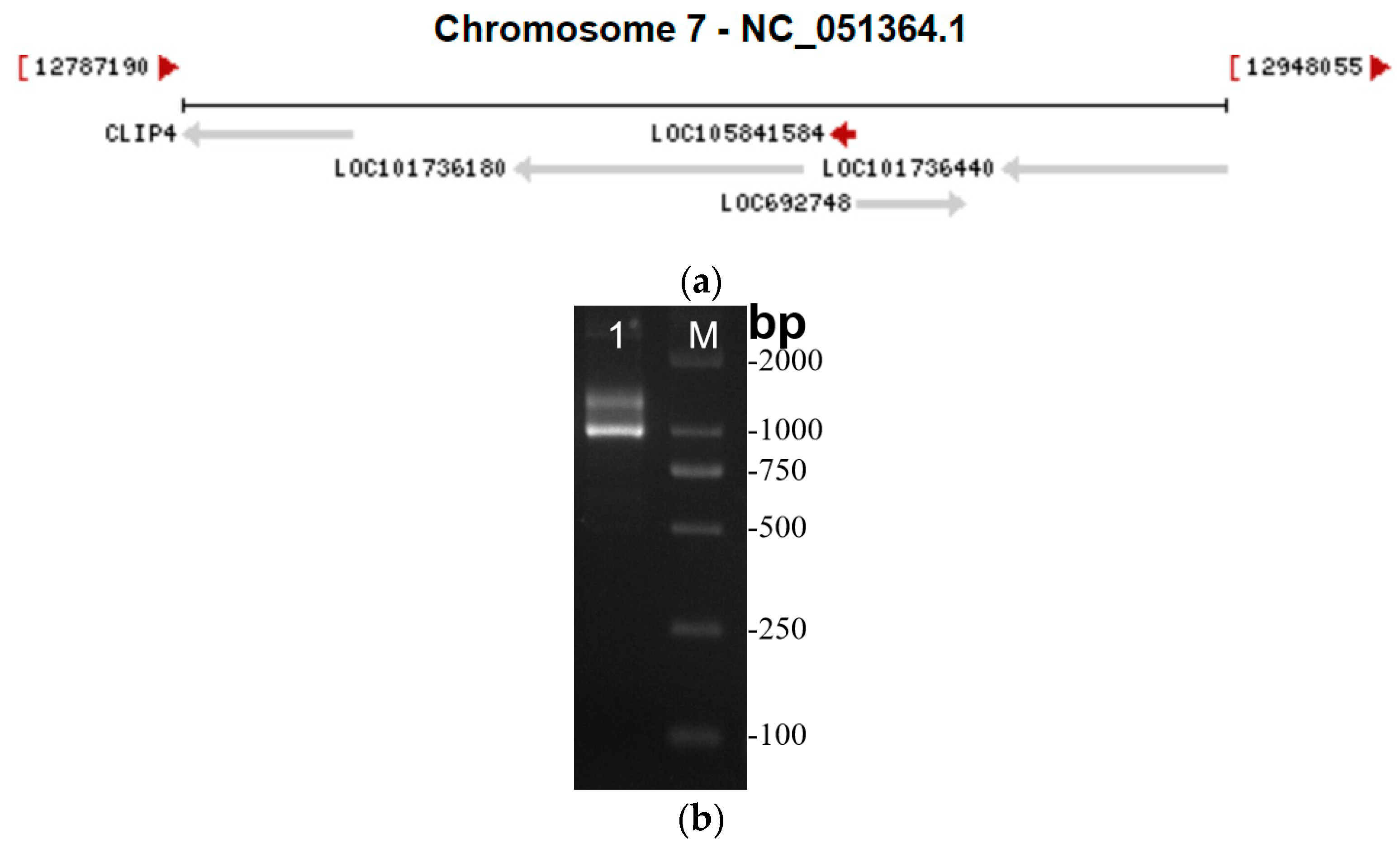 Insects 16 01120 g001