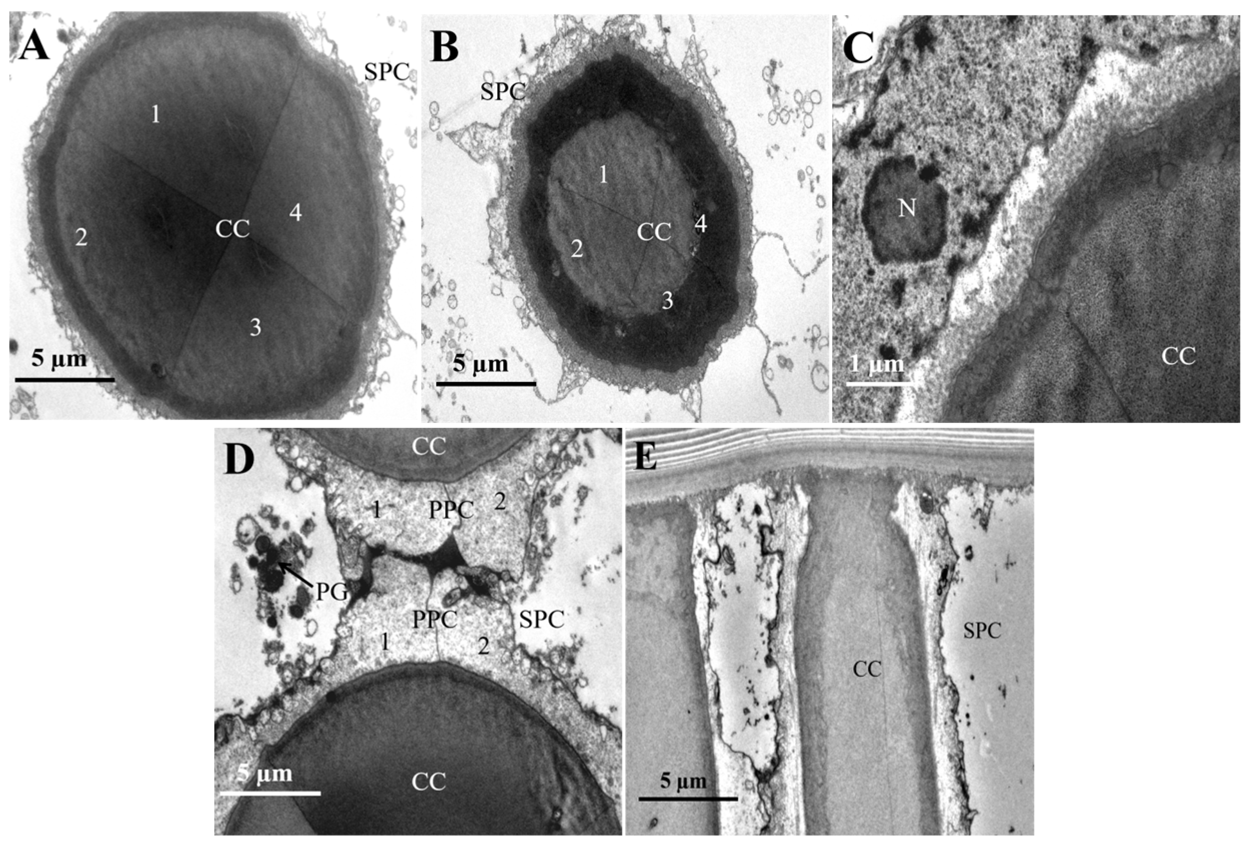 Insects 16 01122 g004 Insects 16 01122 g004