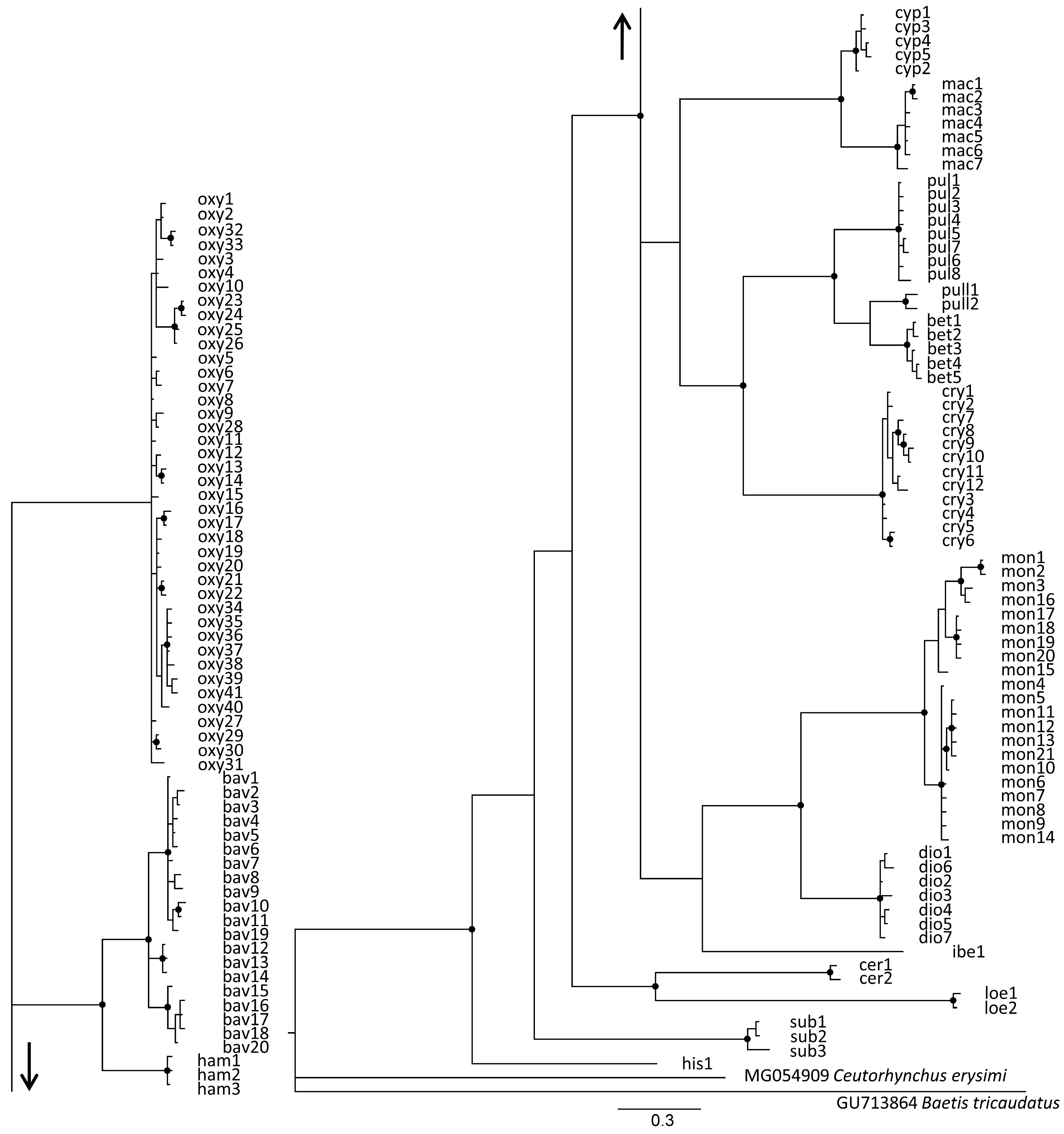 Insects 16 01123 g004 Insects 16 01123 g004