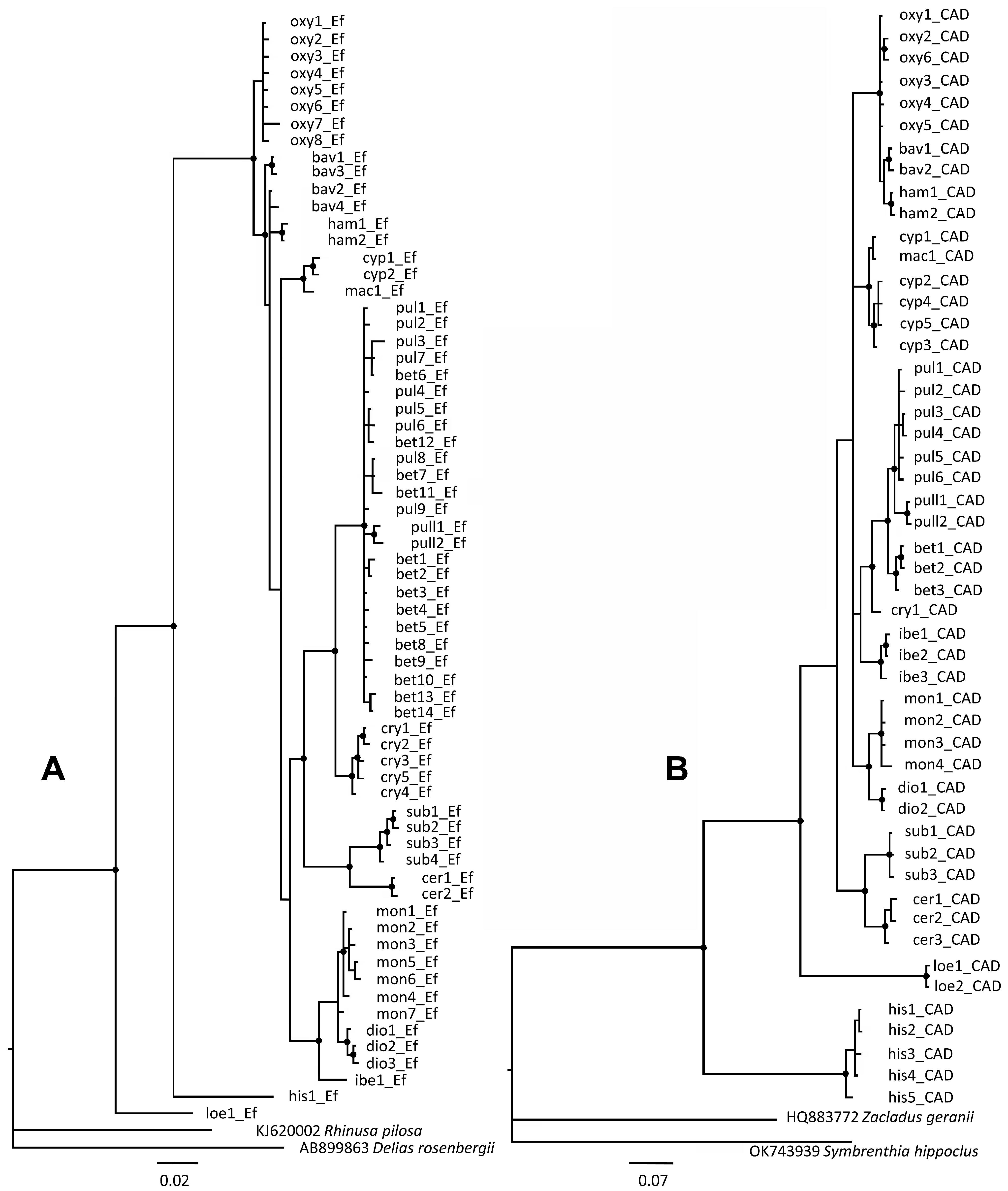 Insects 16 01123 g006 Insects 16 01123 g006