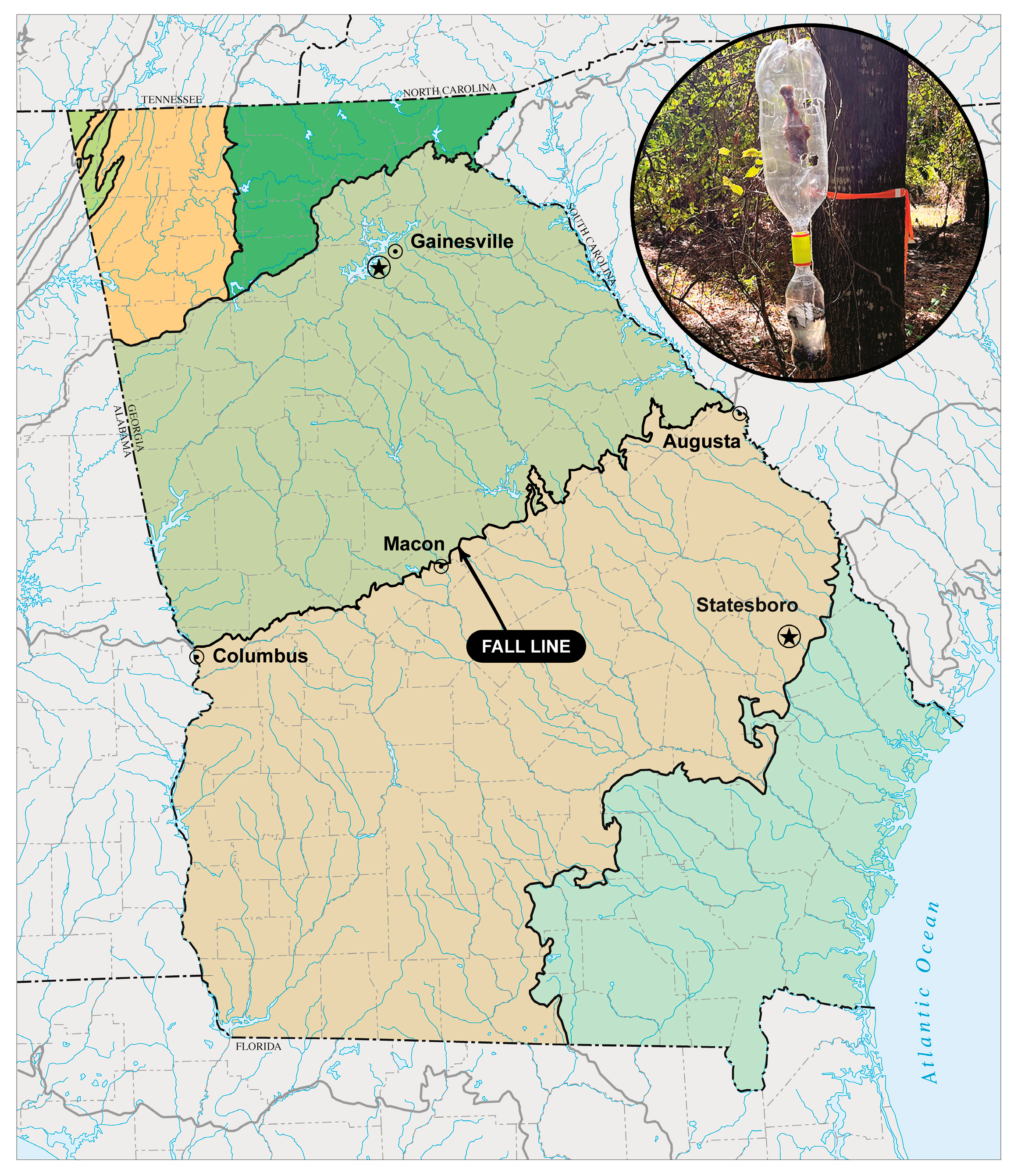 Insects 16 01124 g001